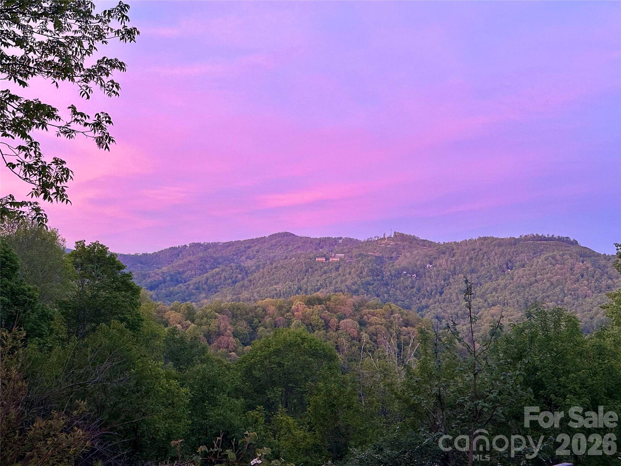 1185 Black Bear DR, Mars Hill, NC 28754