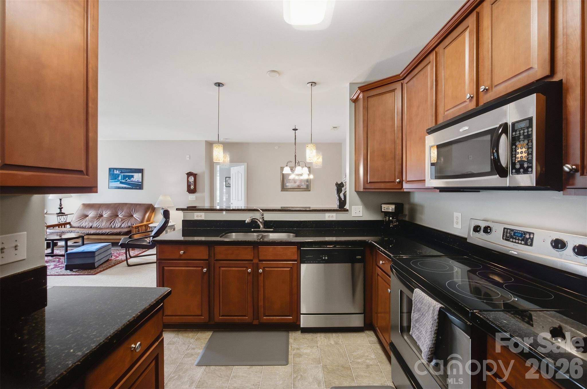 9113 Mcdowell Creek CT #9113, Cornelius, NC 28031