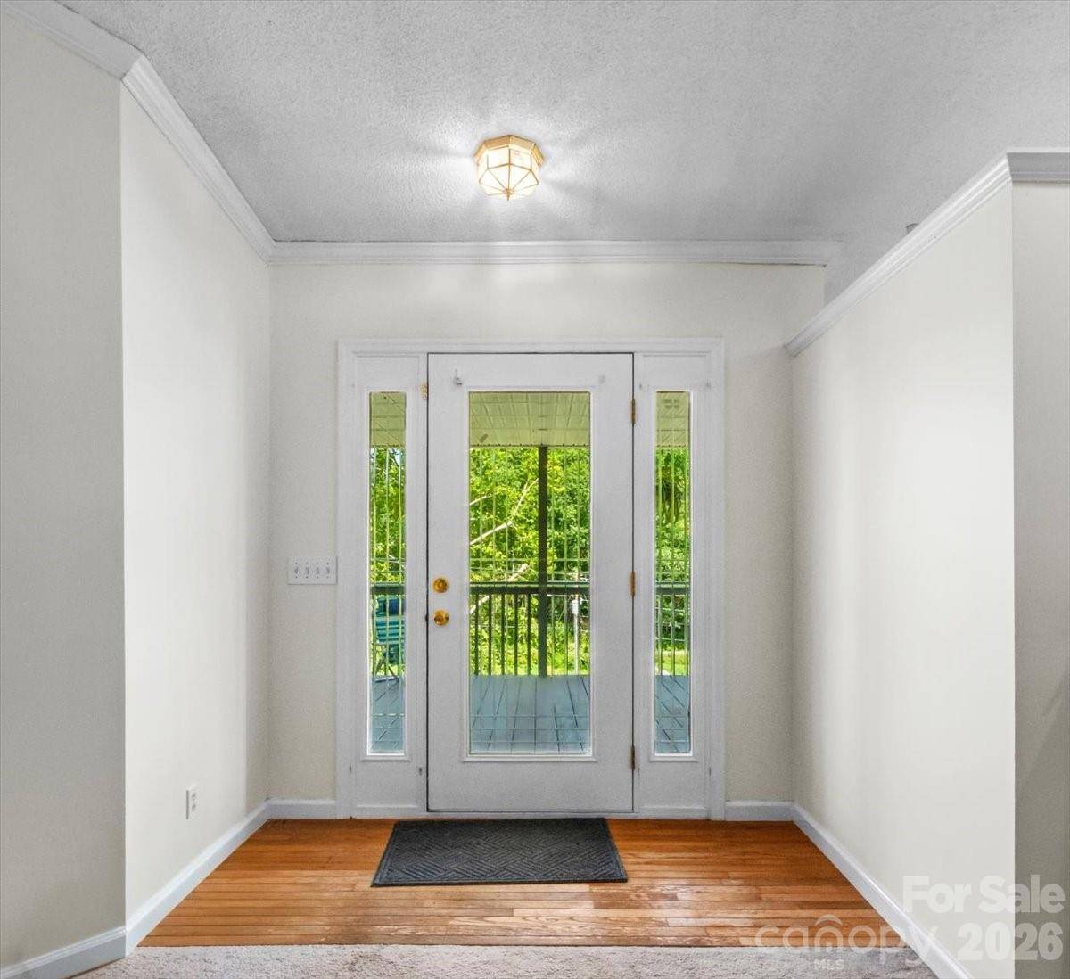 59 Trout Water CIR, Burnsville, NC 28714
