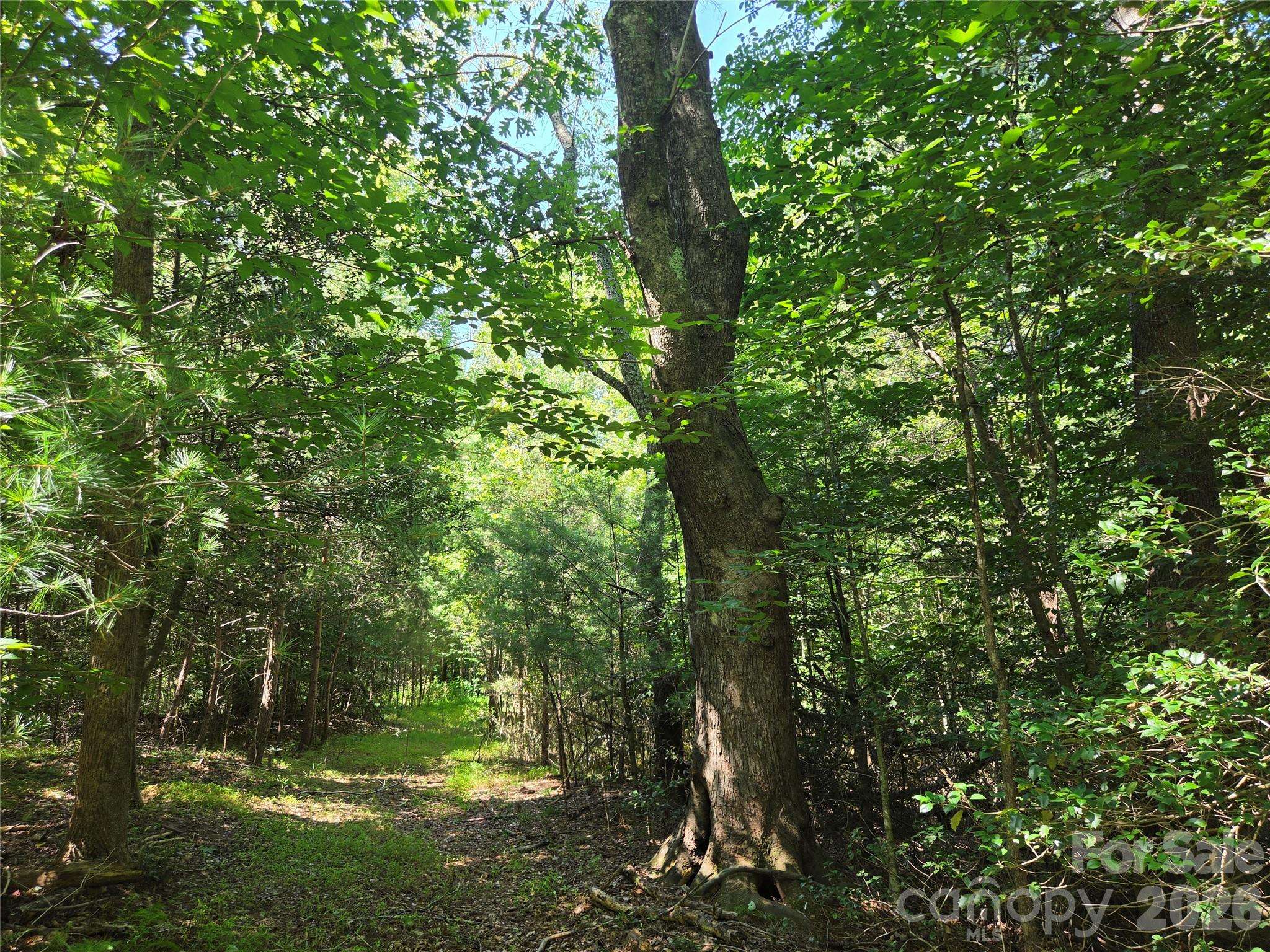 700 Nelson LN, Millers Creek, NC 28651