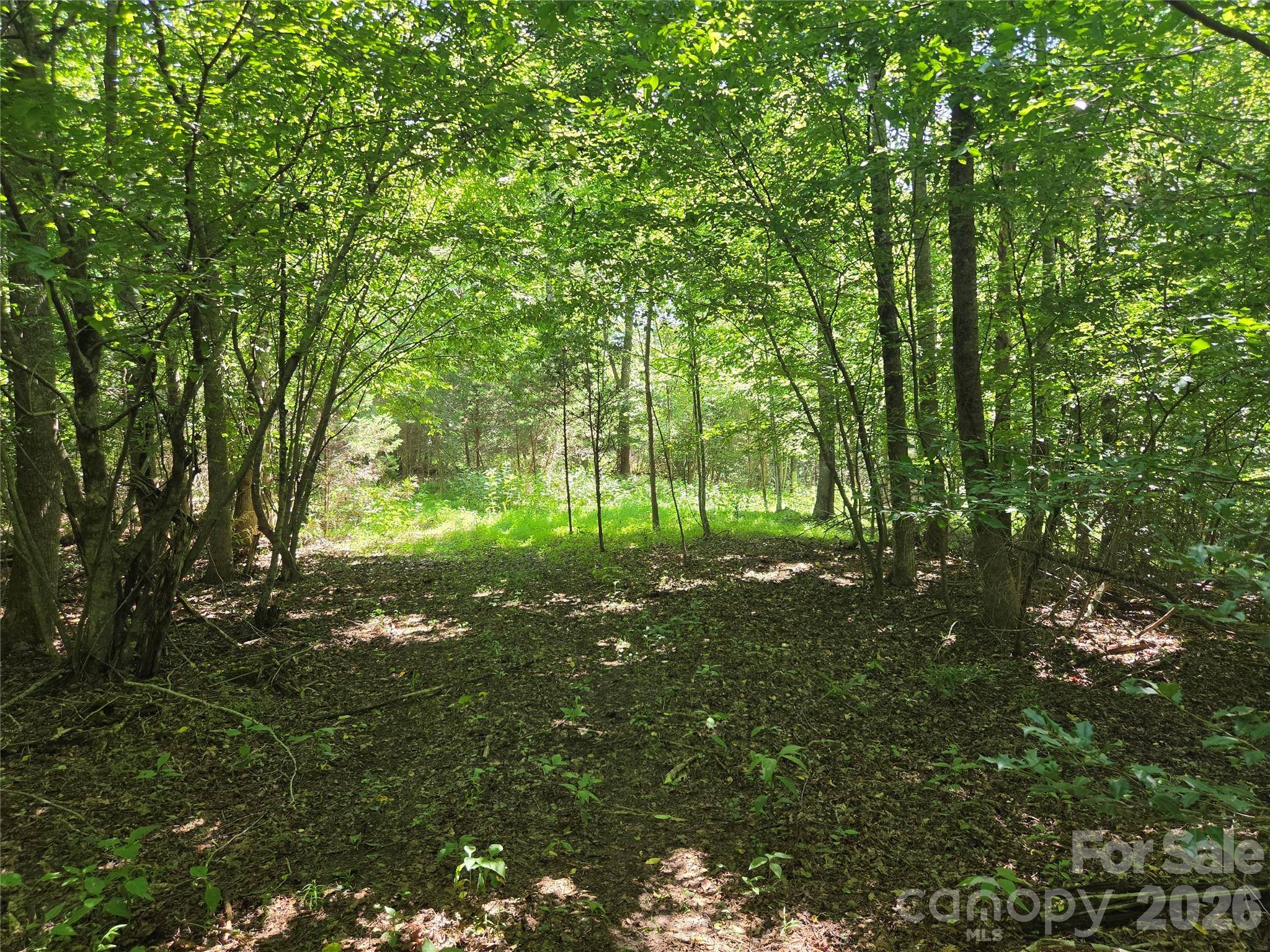 700 Nelson LN, Millers Creek, NC 28651