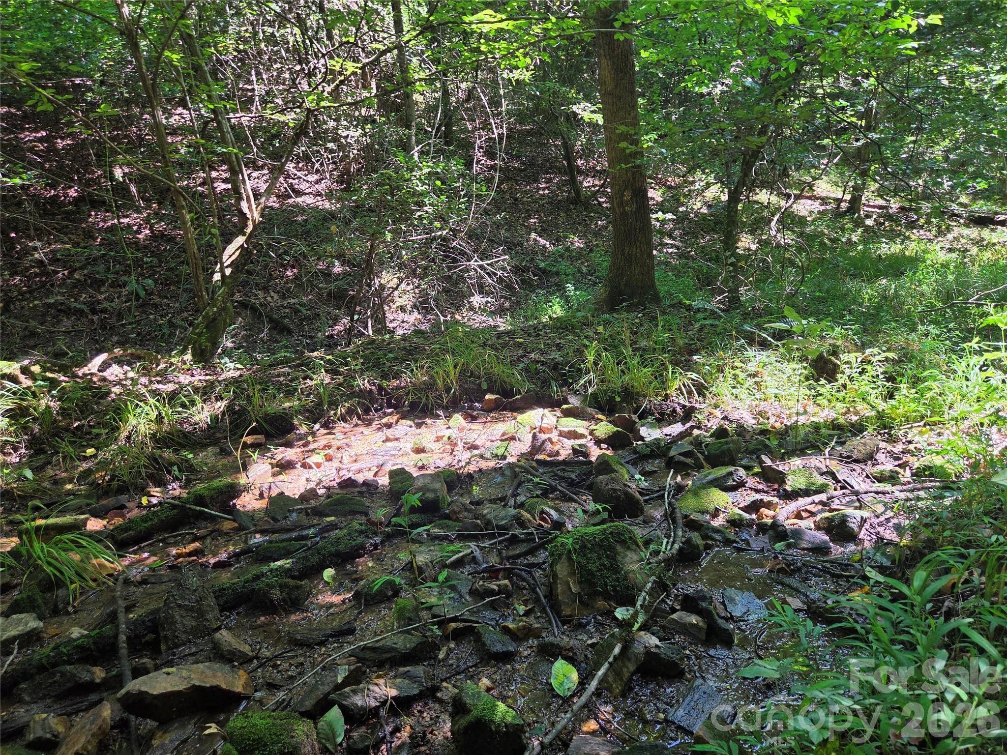 700 Nelson LN, Millers Creek, NC 28651