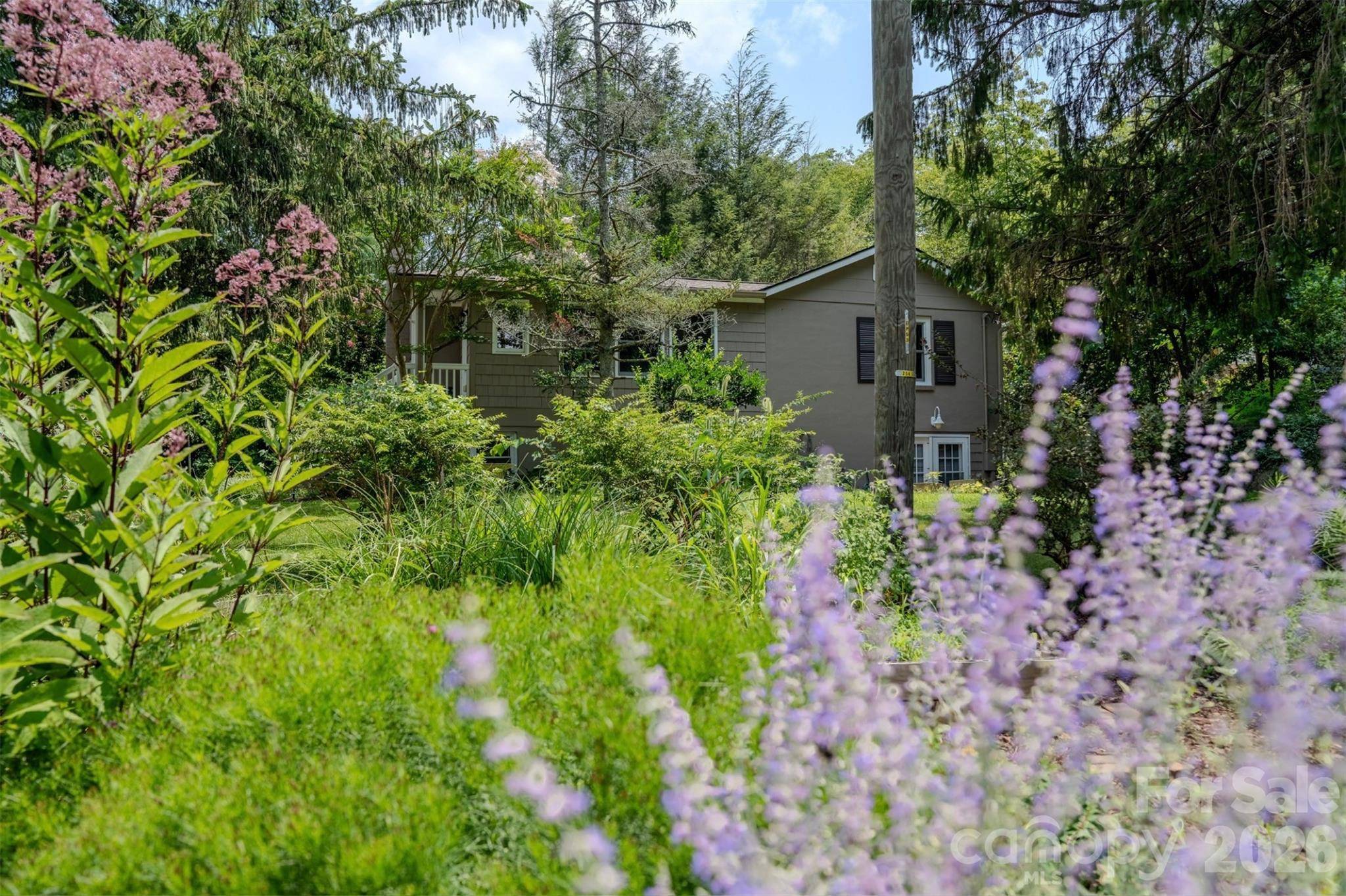 261 Forest Hill DR, Asheville, NC 28803