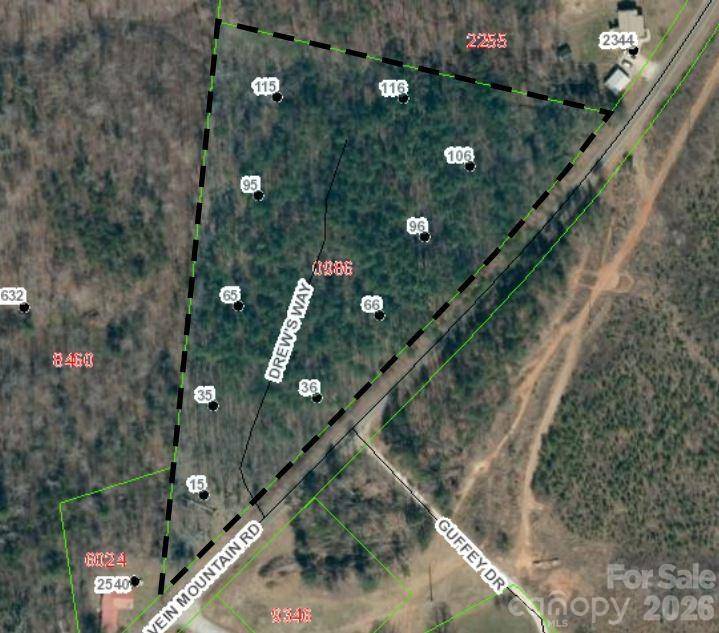 tbd Vein Mountain WAY #1, Dysartsville, NC 28761