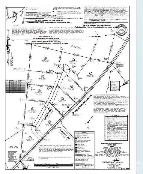 tbd Vein Mountain WAY #1, Dysartsville, NC 28761