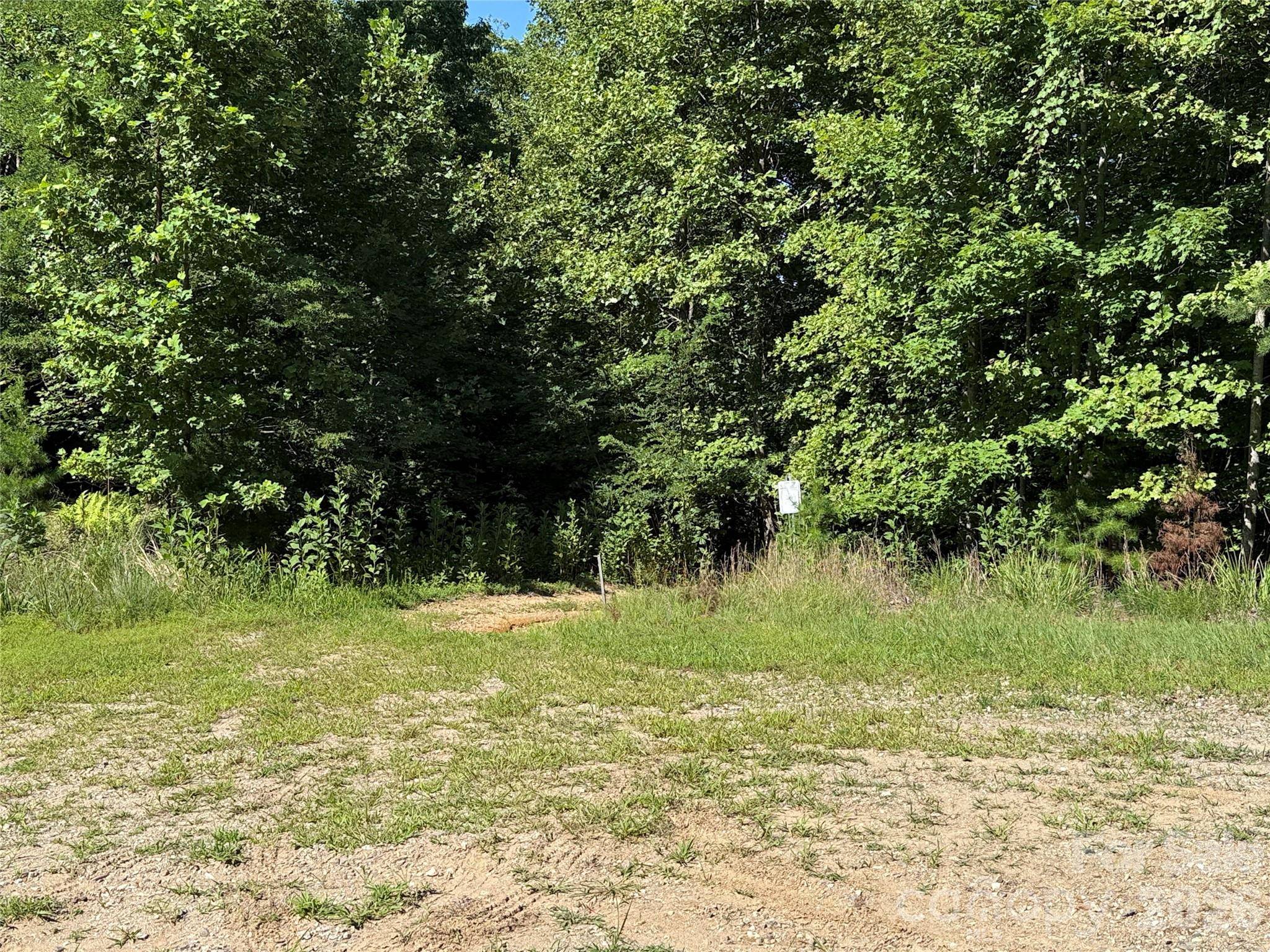 TBD Casey Mountain RD #222, Purlear, NC 28665