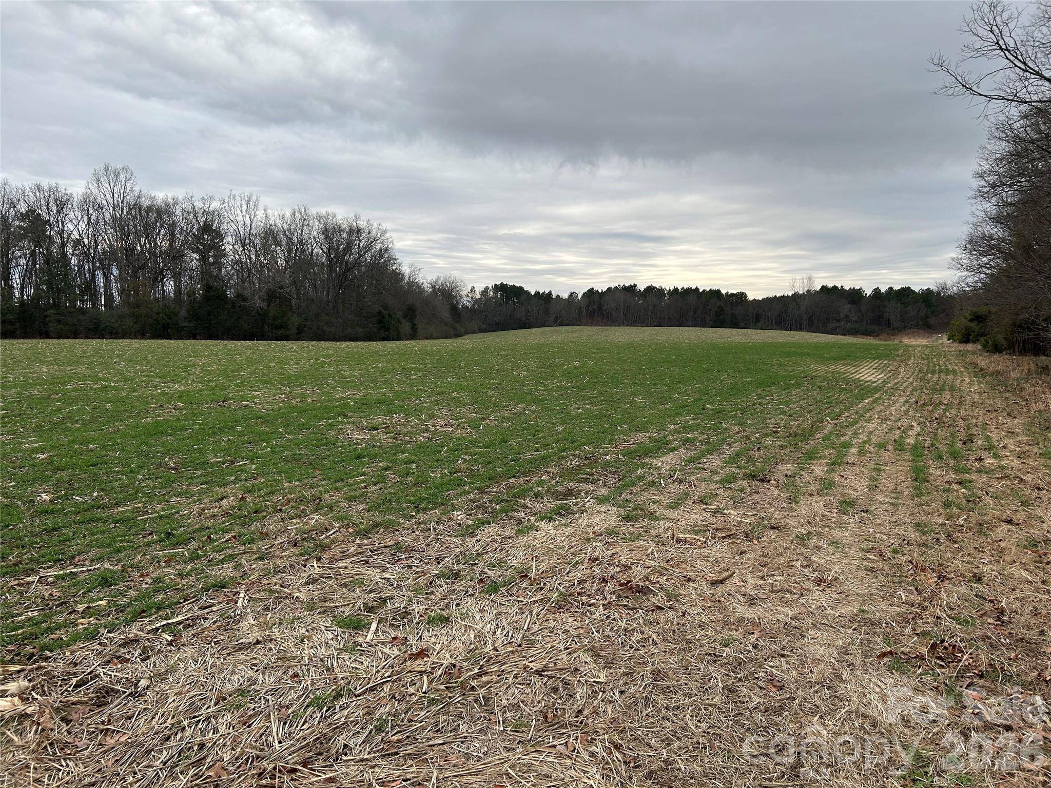 1440-2 Carl Taylor RD, Peachland, NC 28133