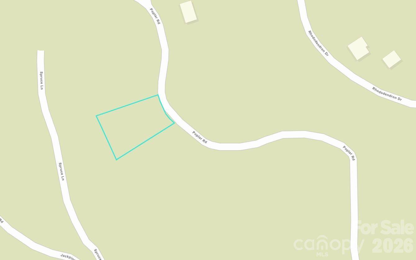 237 Poplar DR, Beech Mountain, NC 28604
