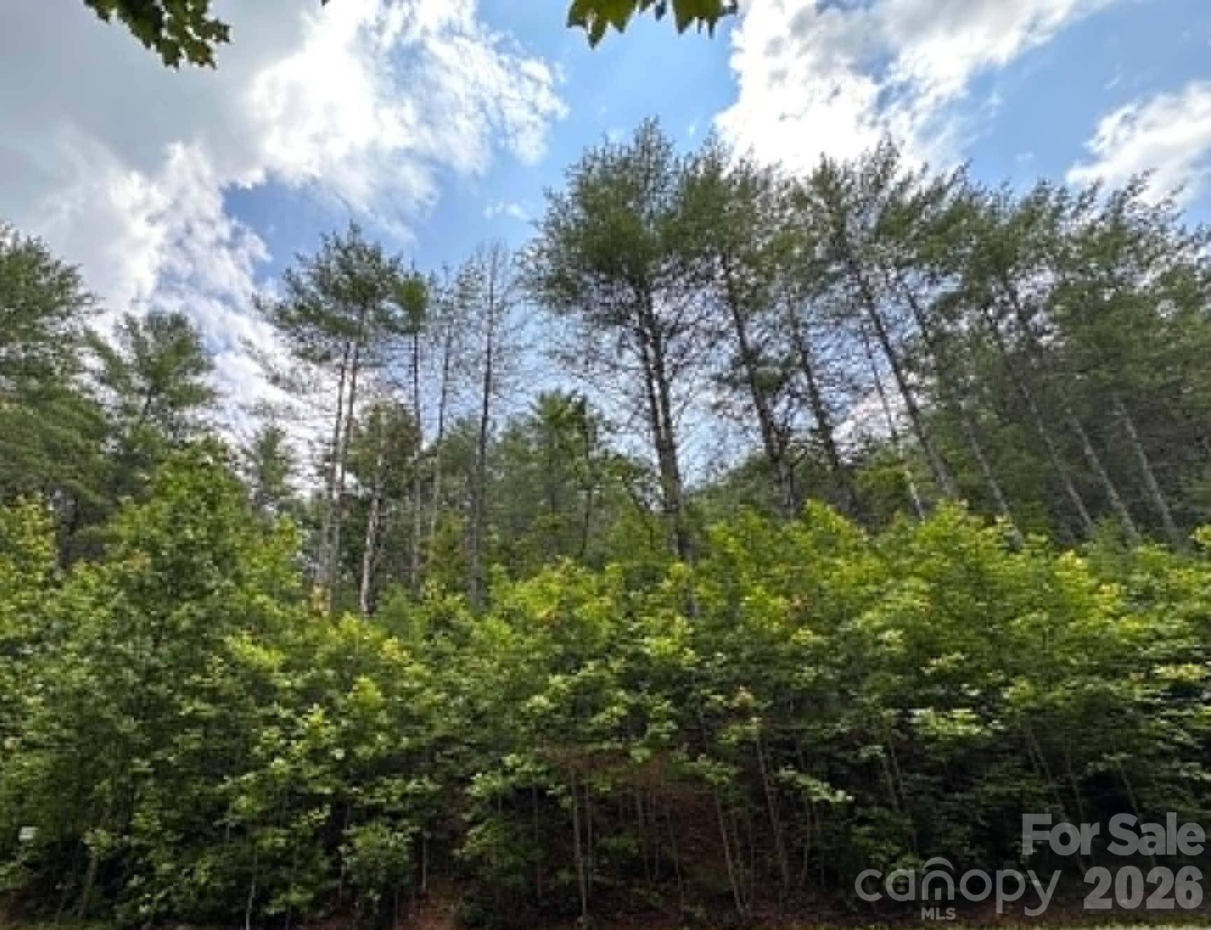 TBD Rock Cliff DR, Collettsville, NC 28611