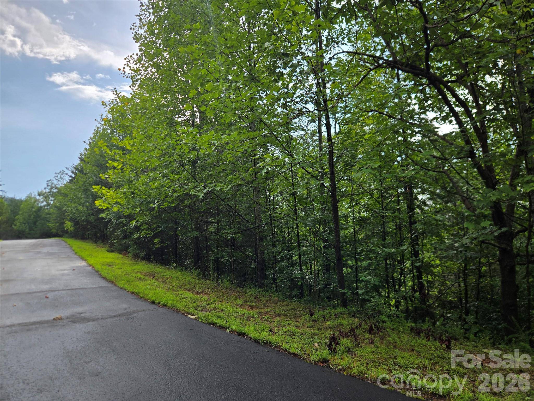0 Pinegrove DR #161, Bostic, NC 28018
