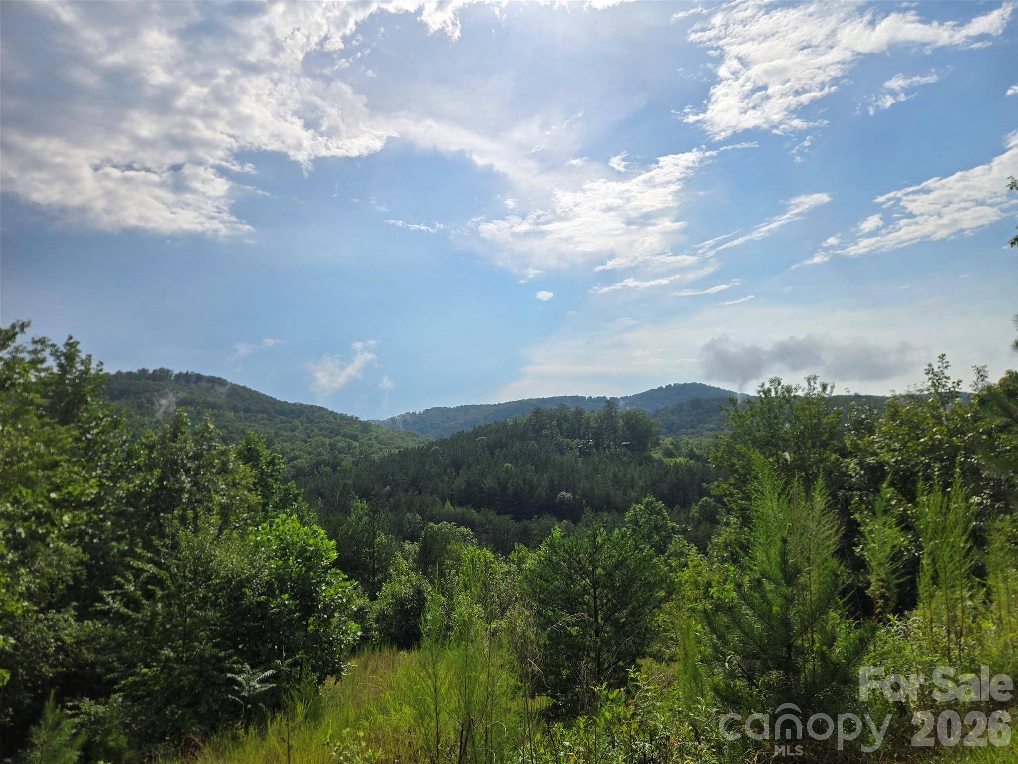 0 Pinegrove DR #161, Bostic, NC 28018