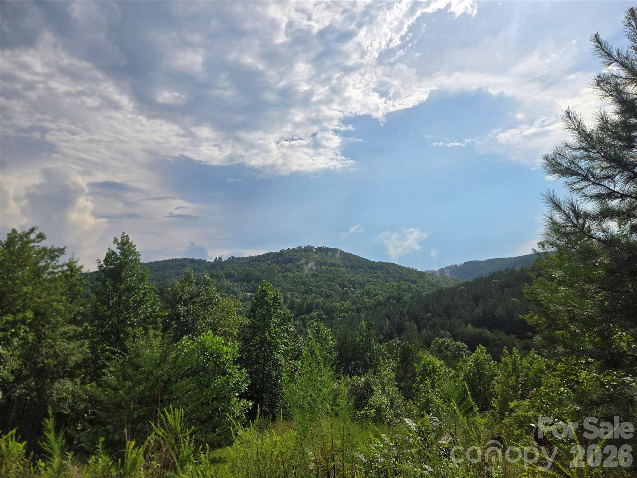 0 Pinegrove DR #161, Bostic, NC 28018