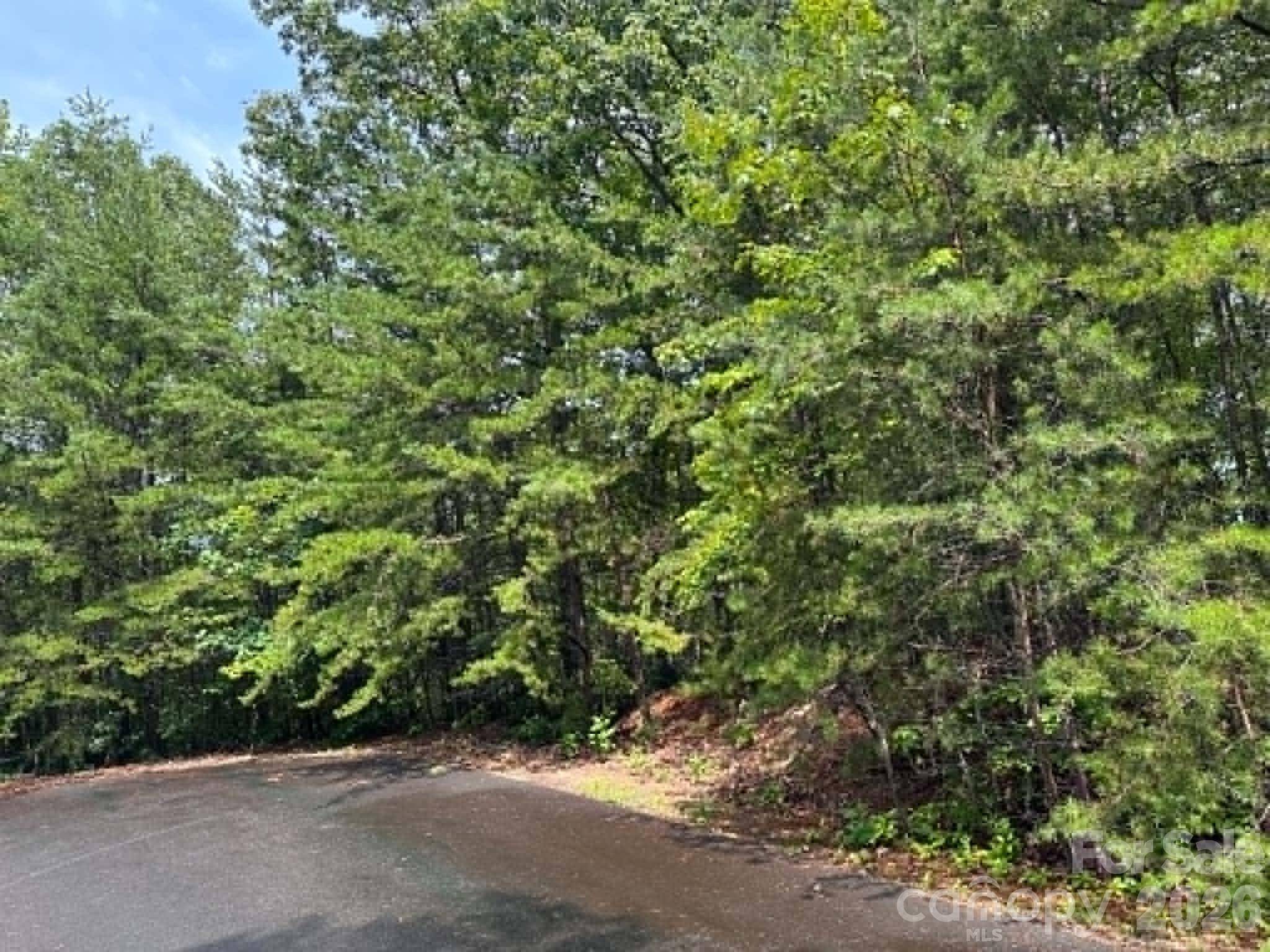 TBD Fire Tower RD, Bostic, NC 28018