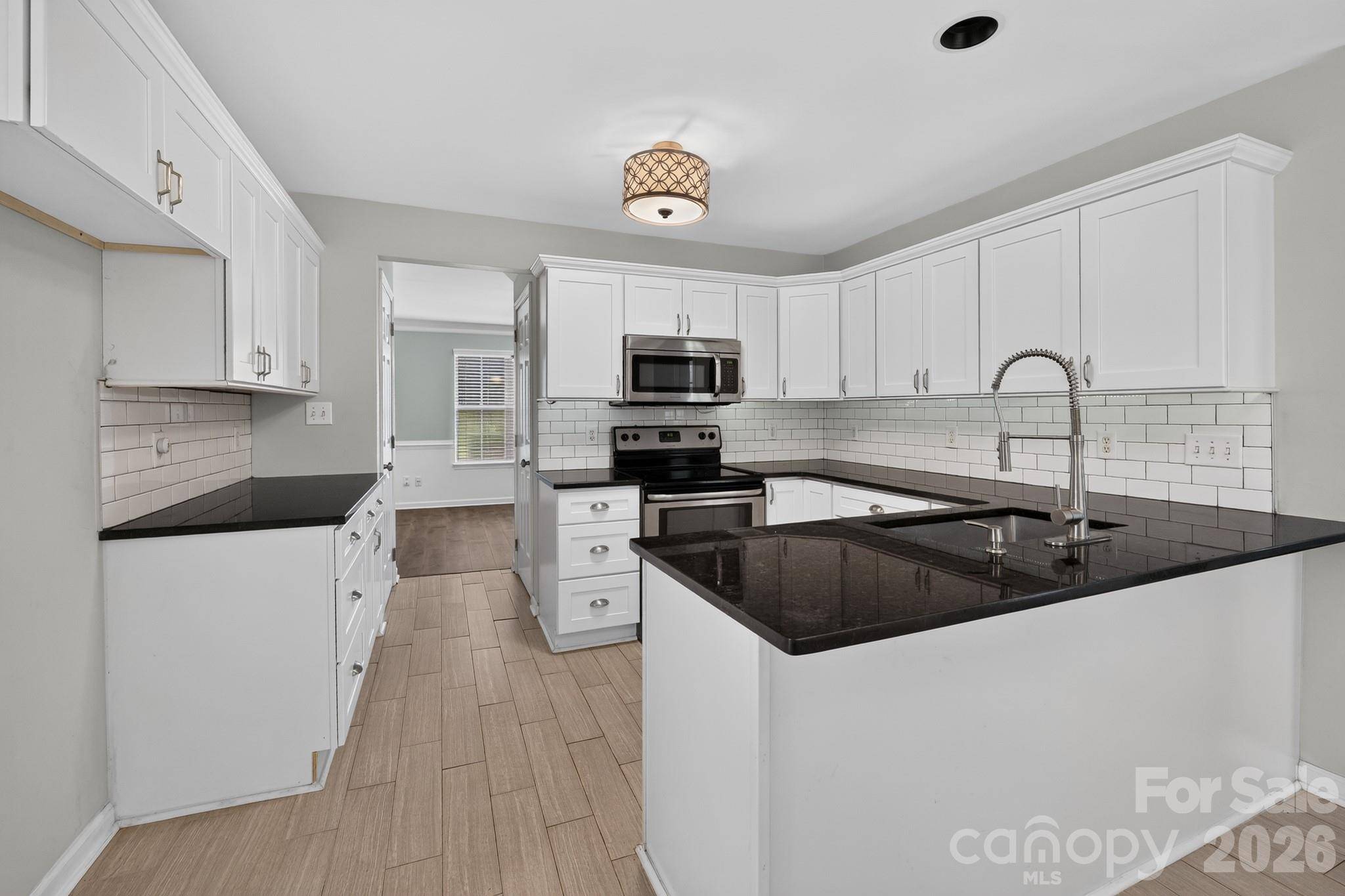 6420 Spanish Moss LN, Charlotte, NC 28262
