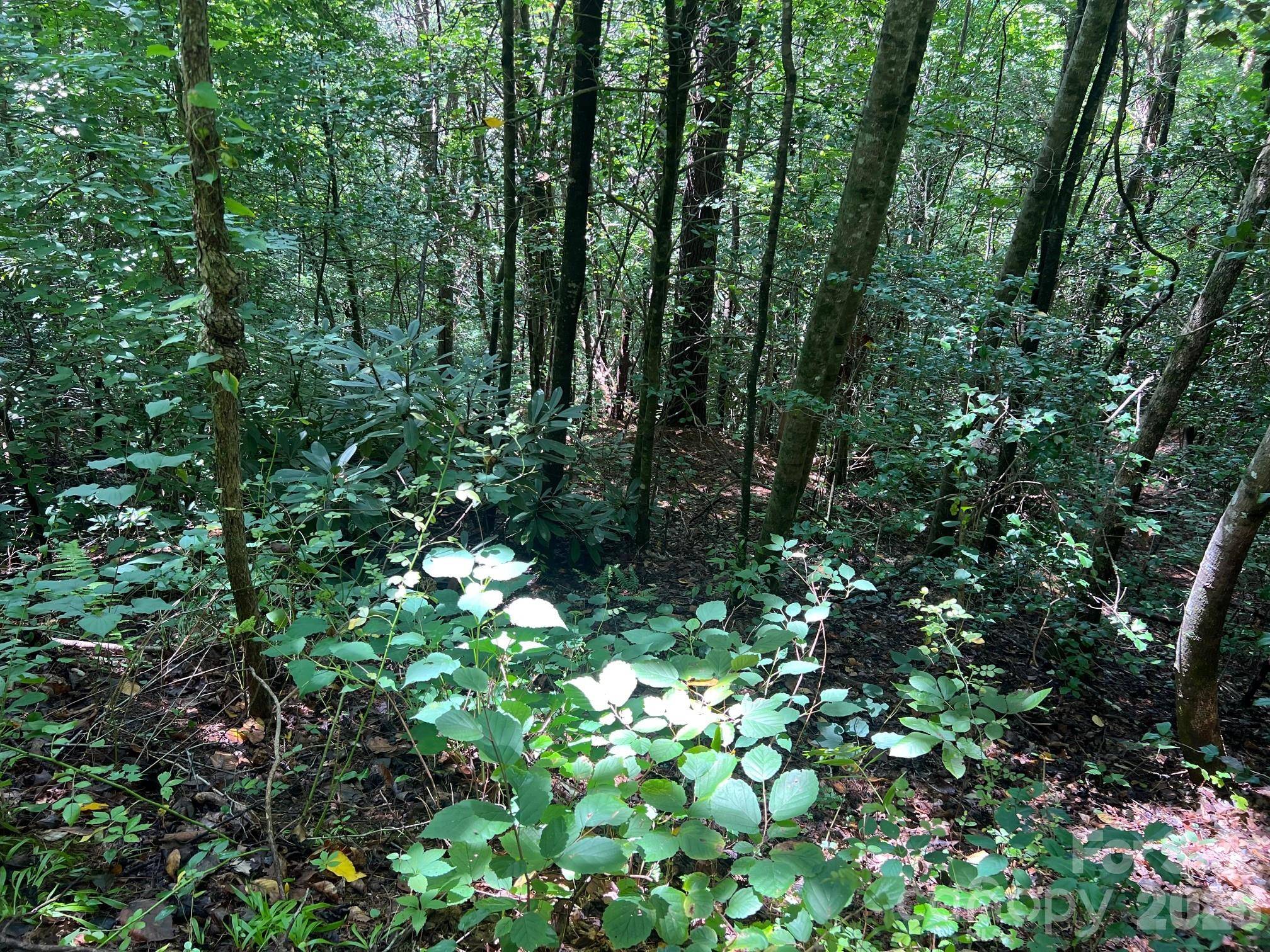 0 Old Johns River RD, Collettsville, NC 28611