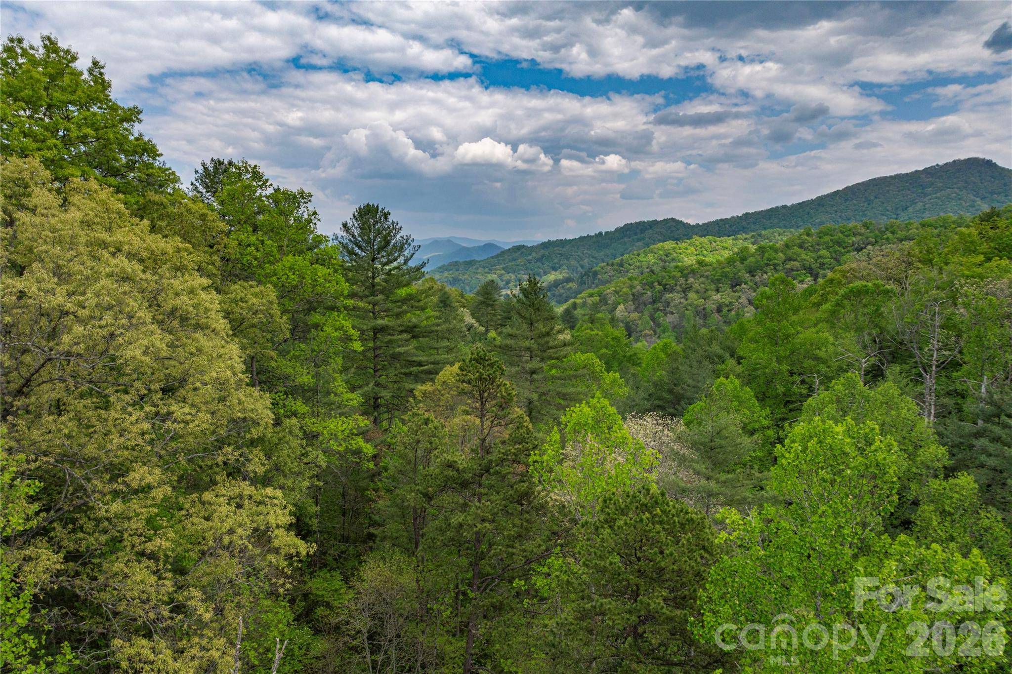 0000 Pressley Creek RD, Cullowhee, NC 28723
