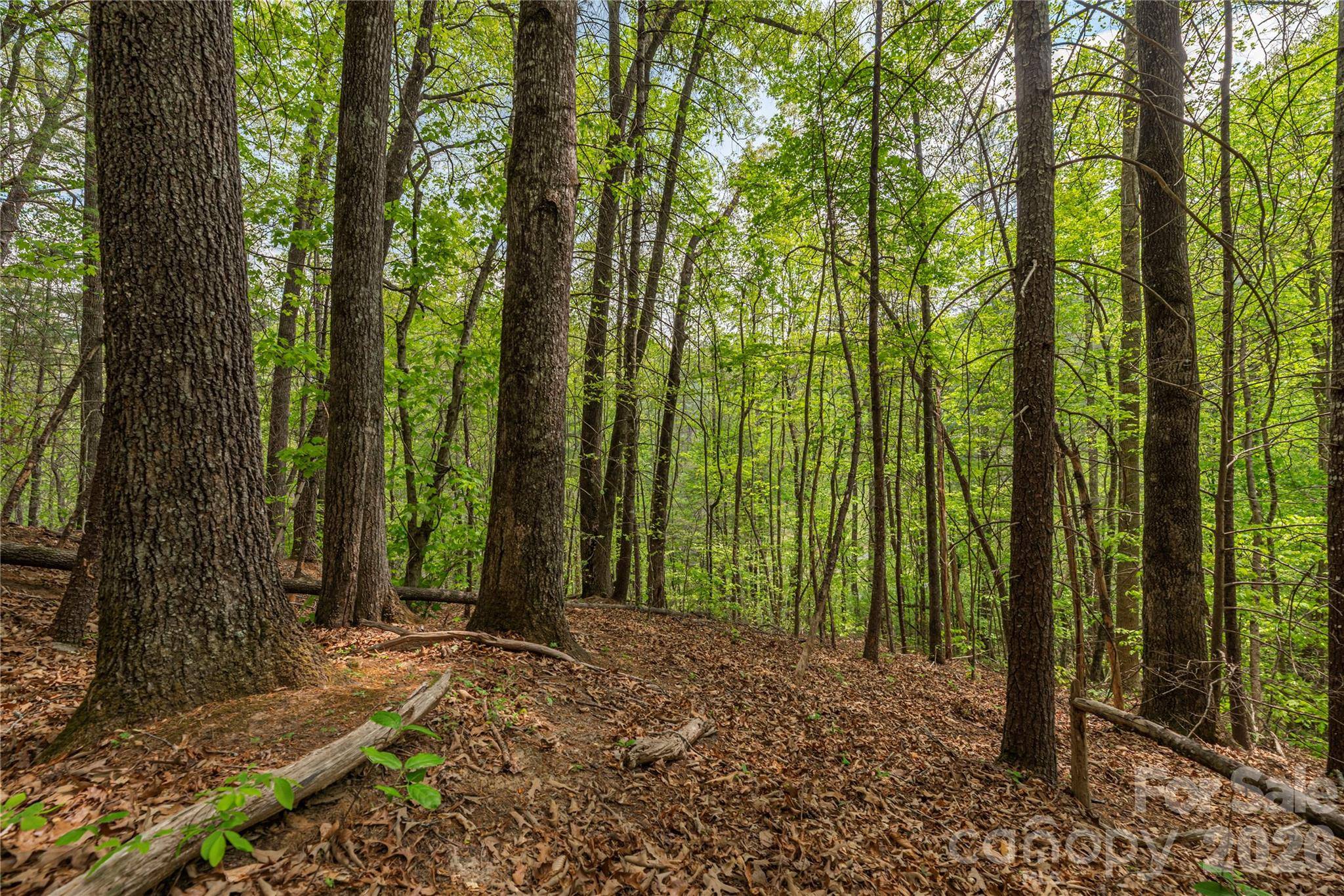 0000 Pressley Creek RD, Cullowhee, NC 28723