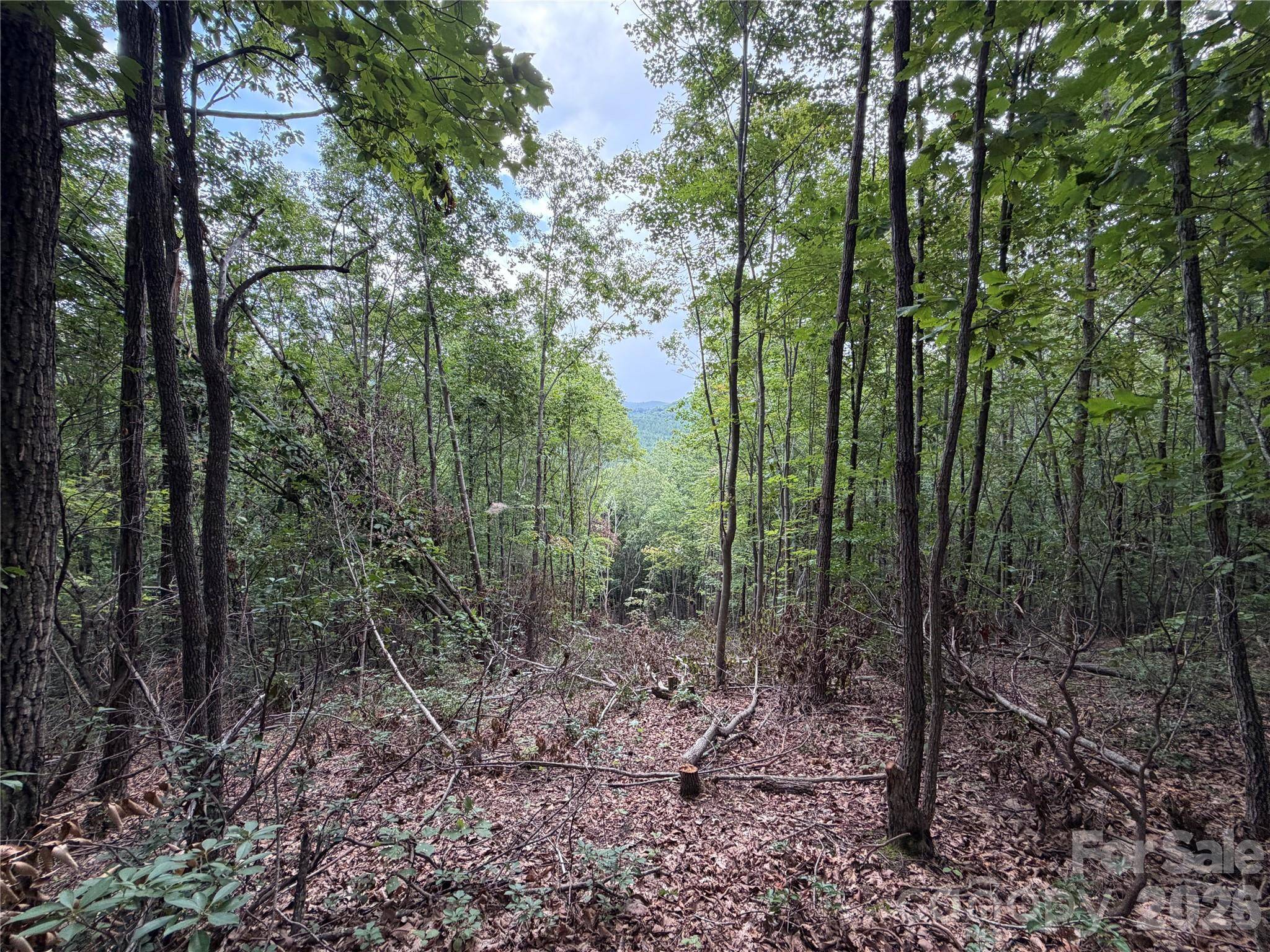69 Idlewild DR, Bostic, NC 28018