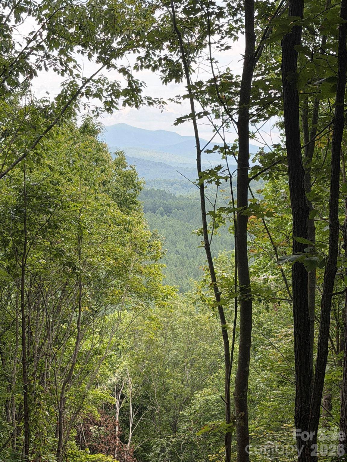 69 Idlewild DR, Bostic, NC 28018