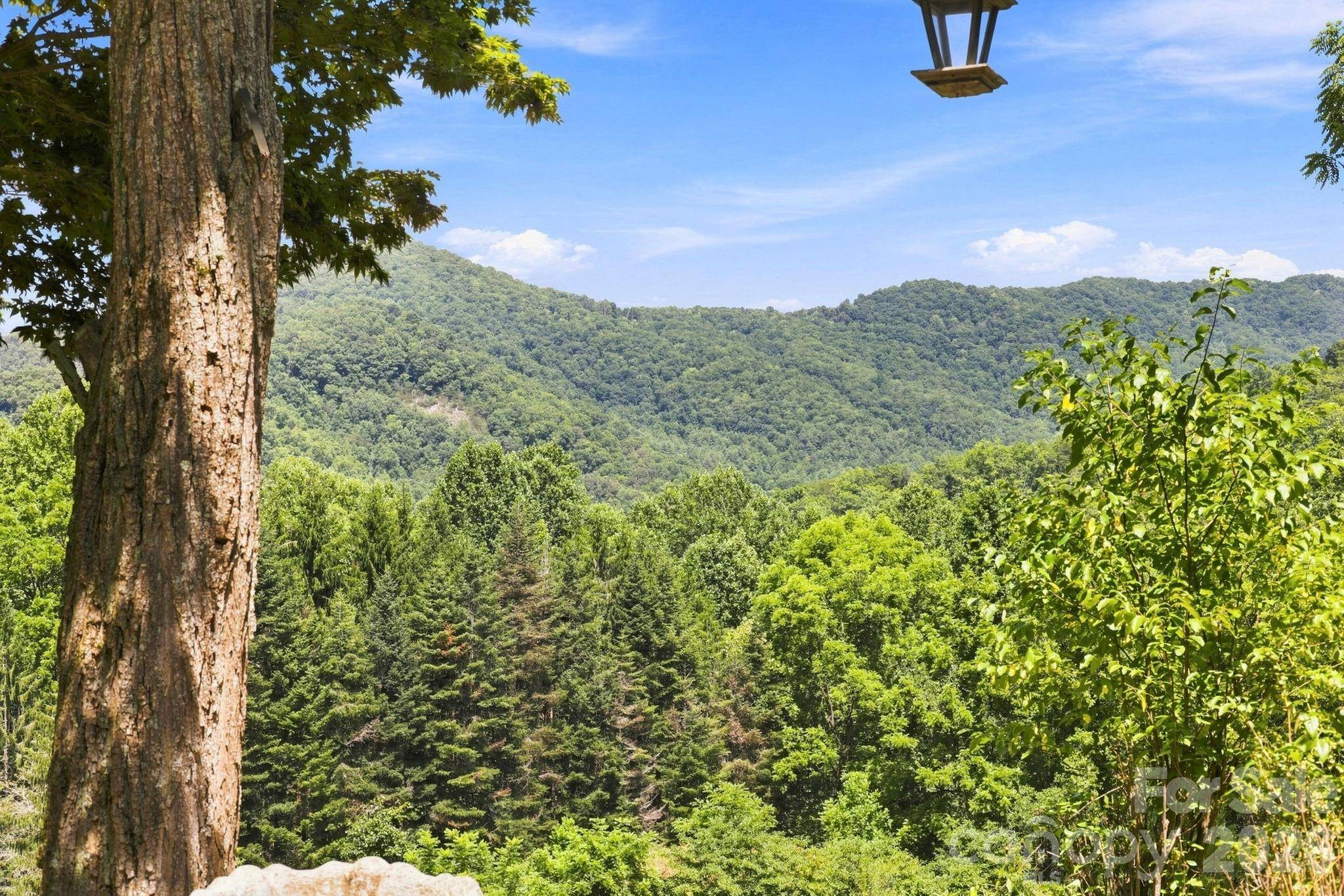 518 Nicholson Cove RD, Cullowhee, NC 28723