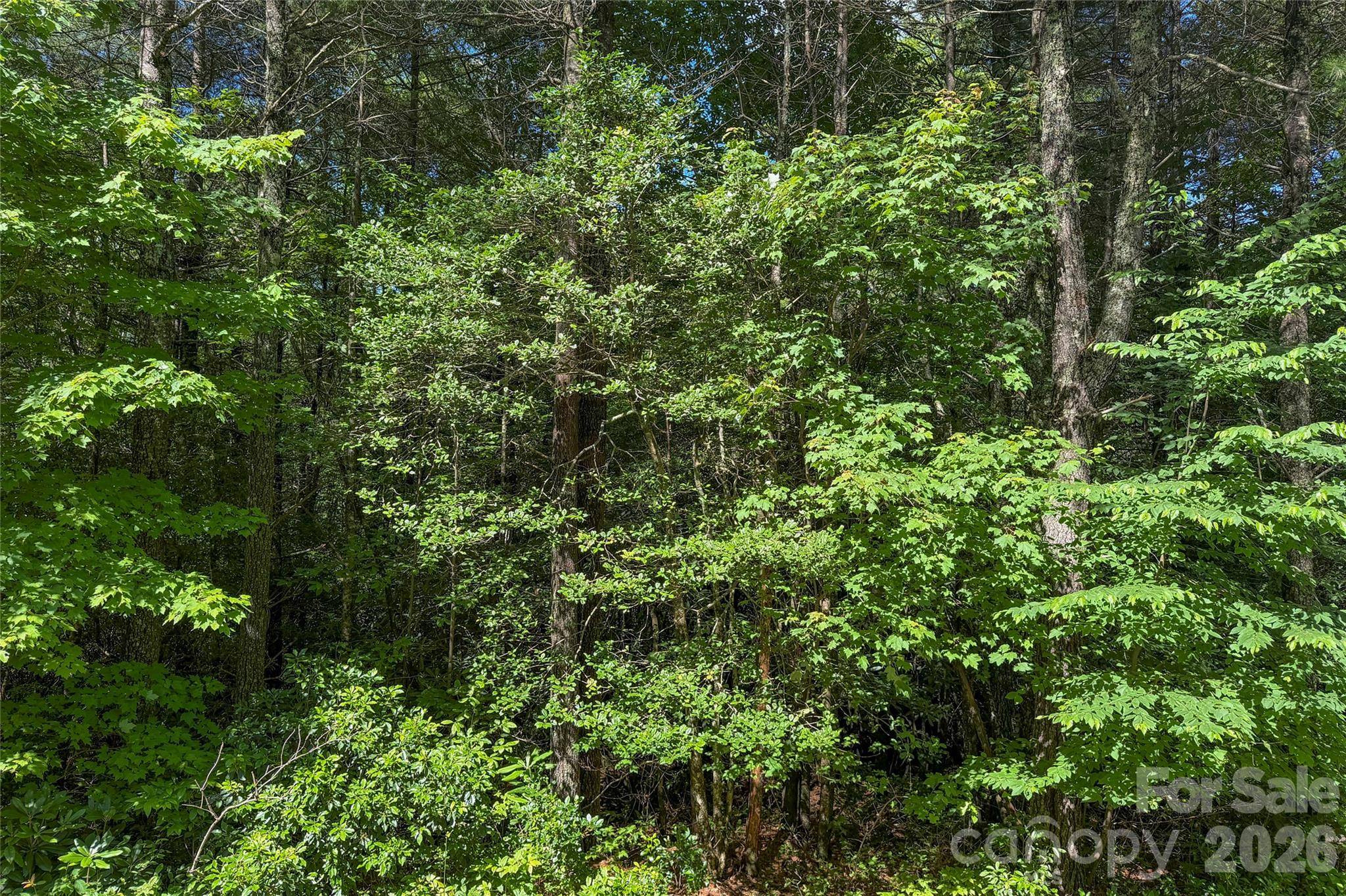 G25 Bailey LN #G25, Sapphire, NC 28774