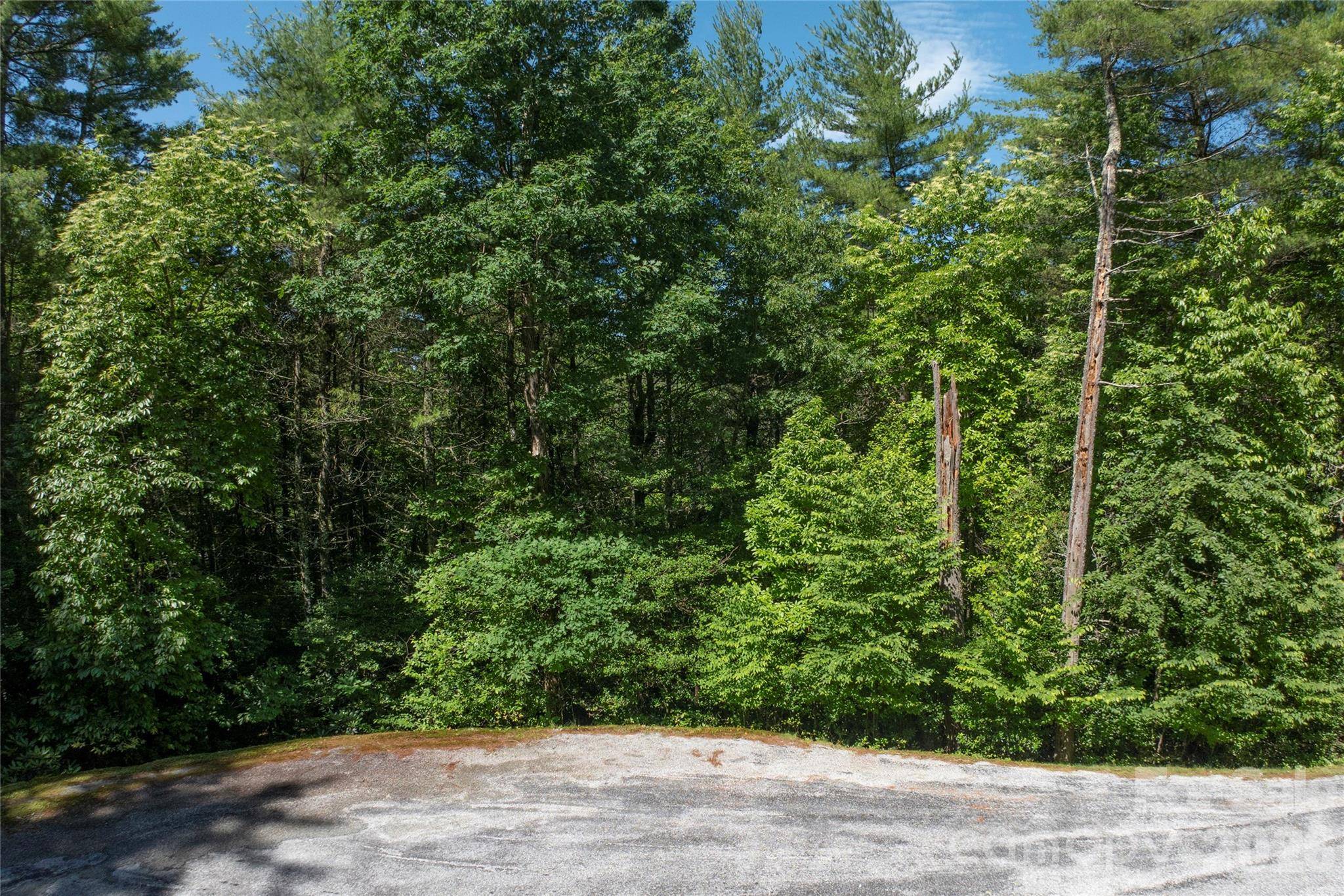 G26 Bailey LN #G26, Sapphire, NC 28774