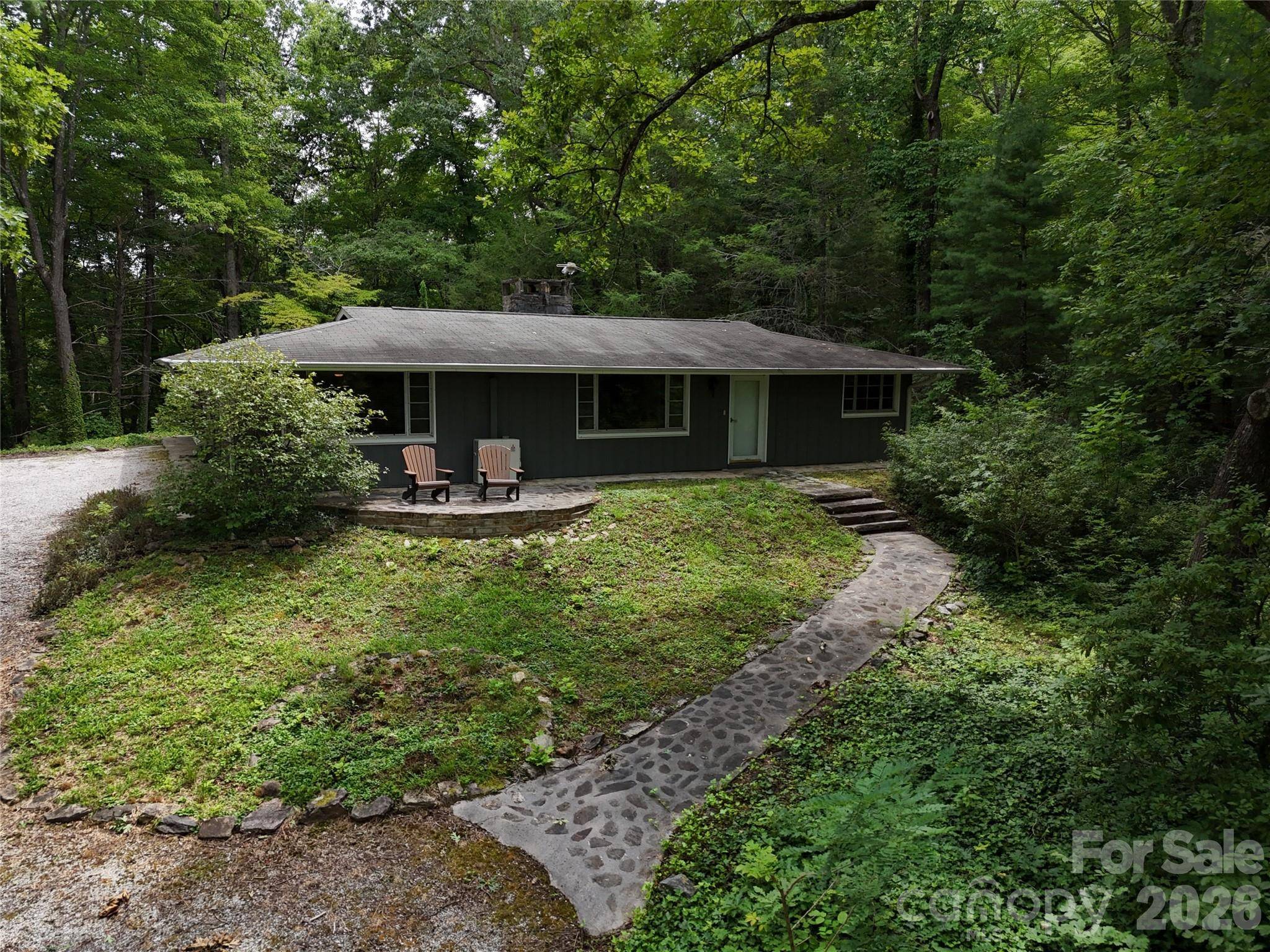 250 Luther Burbank DR, Lake Lure, NC 28746
