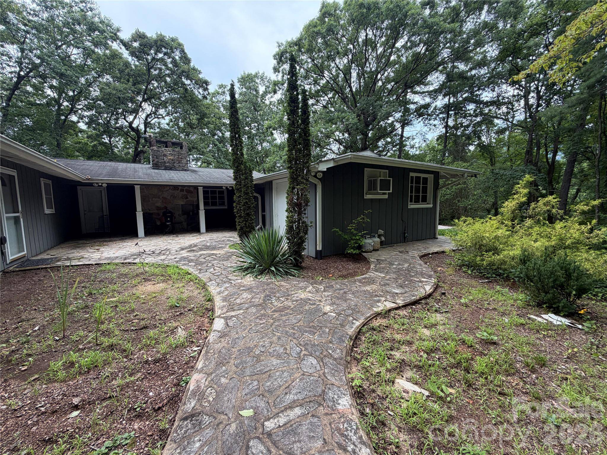 250 Luther Burbank DR, Lake Lure, NC 28746