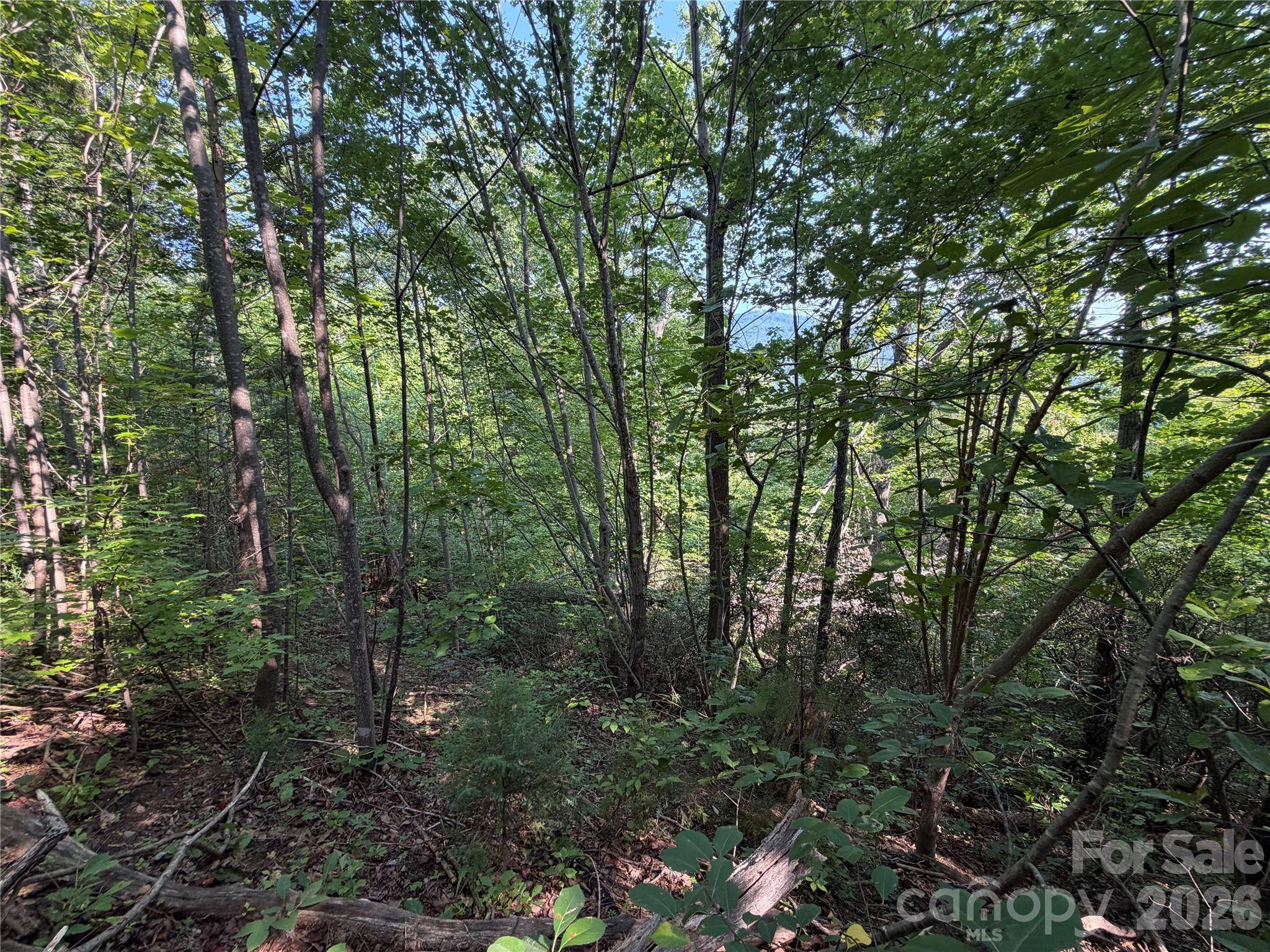 00 Holland DR #24, Columbus, NC 28722