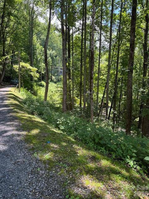 Lot 49 Rocky Ridge RD #49, Balsam, NC 28707