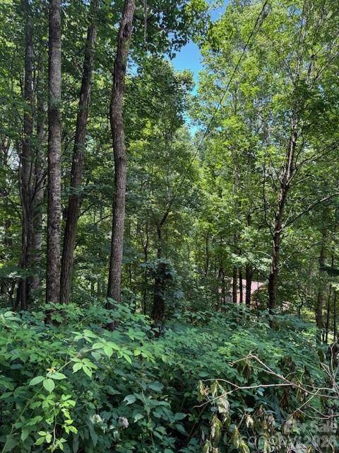 Lot 49 Rocky Ridge RD #49, Balsam, NC 28707