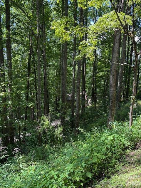 Lot 49 Rocky Ridge RD #49, Balsam, NC 28707