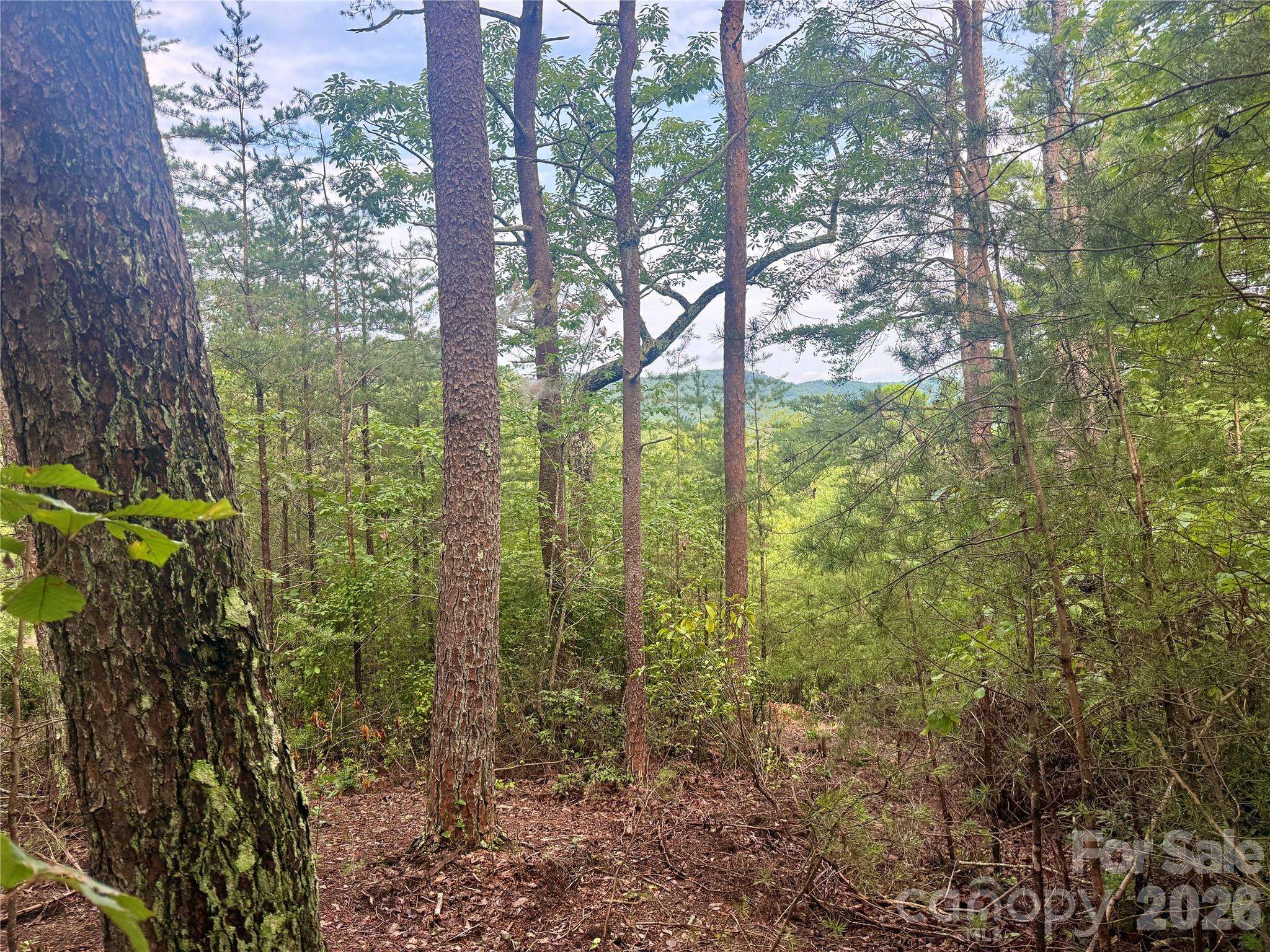 V/L Tahawus DR #92, Bostic, NC 28018
