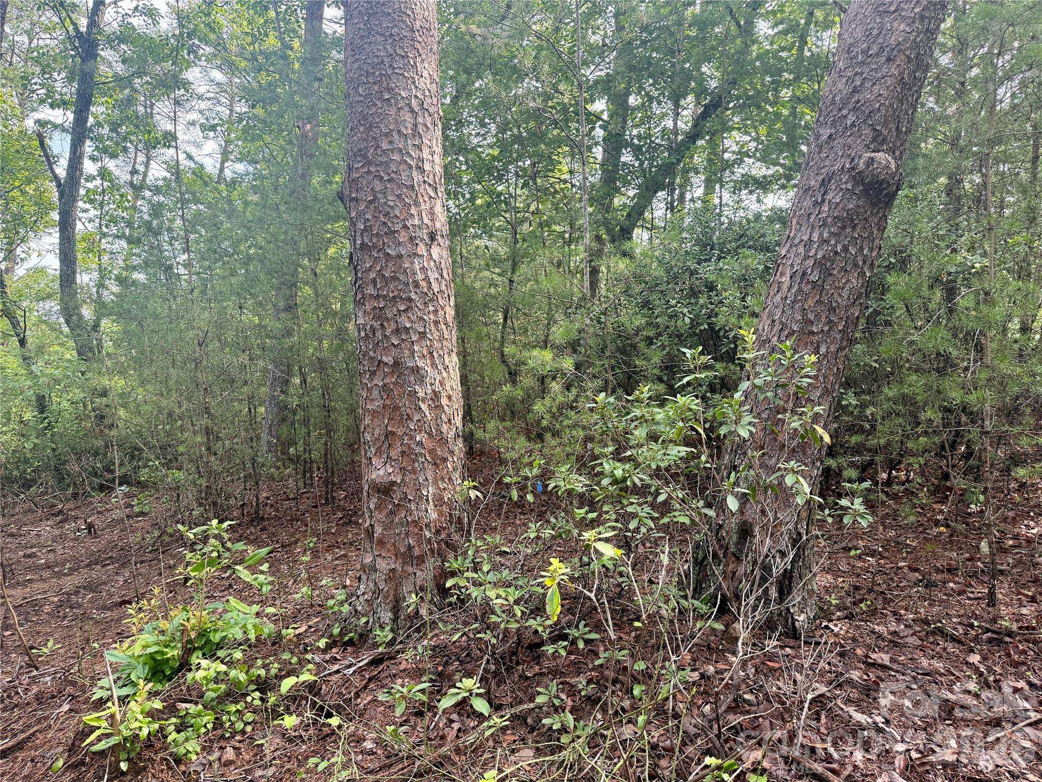 V/L Tahawus DR #92, Bostic, NC 28018