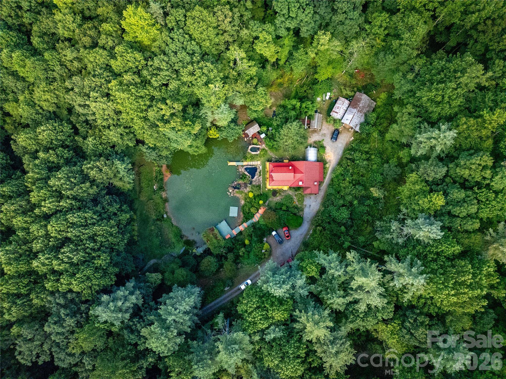 87 Old Chimney LN, Cedar Mountain, NC 28718