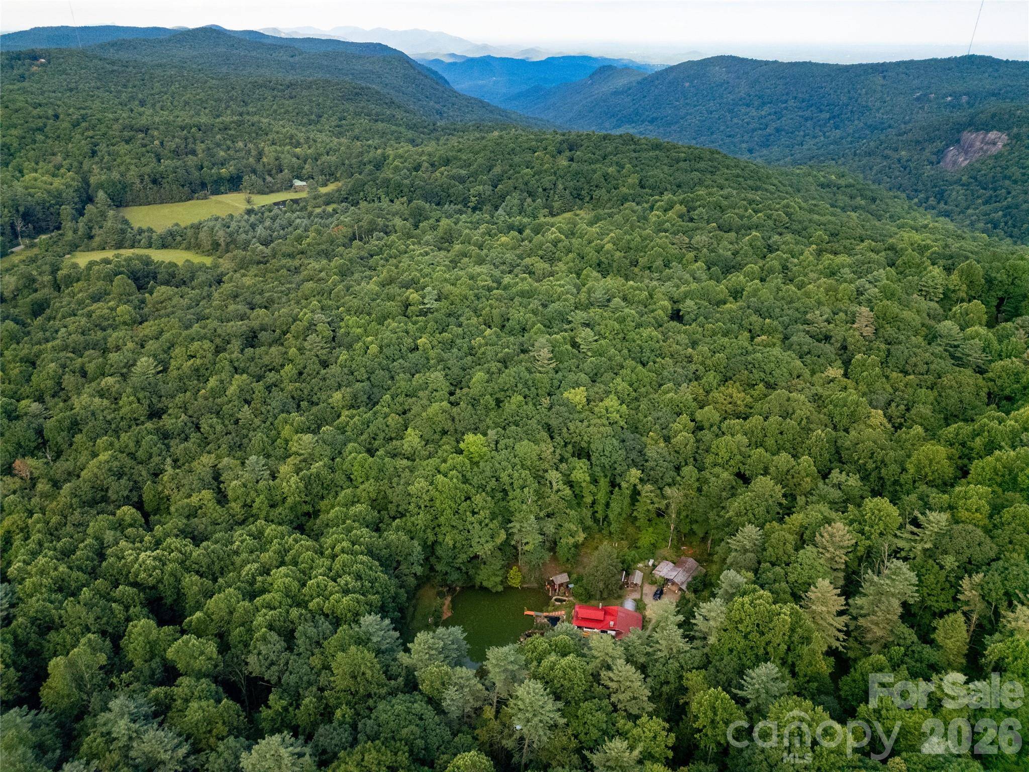 87 Old Chimney LN, Cedar Mountain, NC 28718