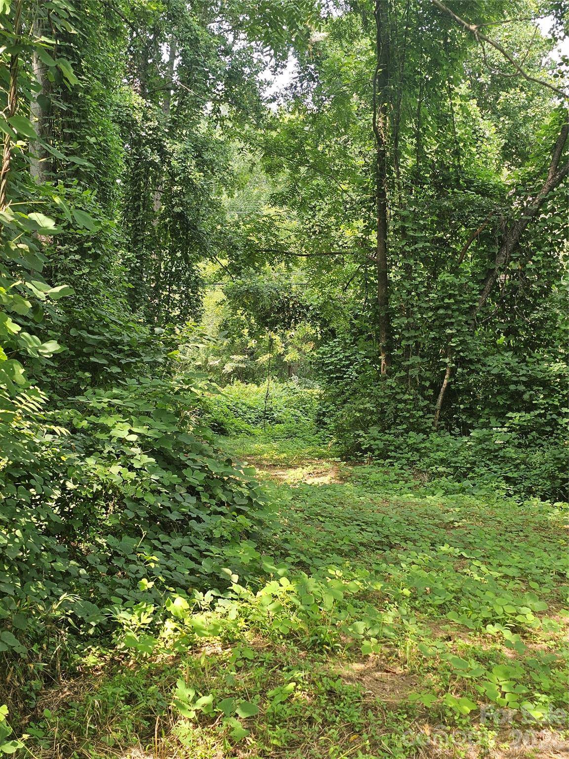 0 US 70 HWY, Connelly Springs, NC 28612