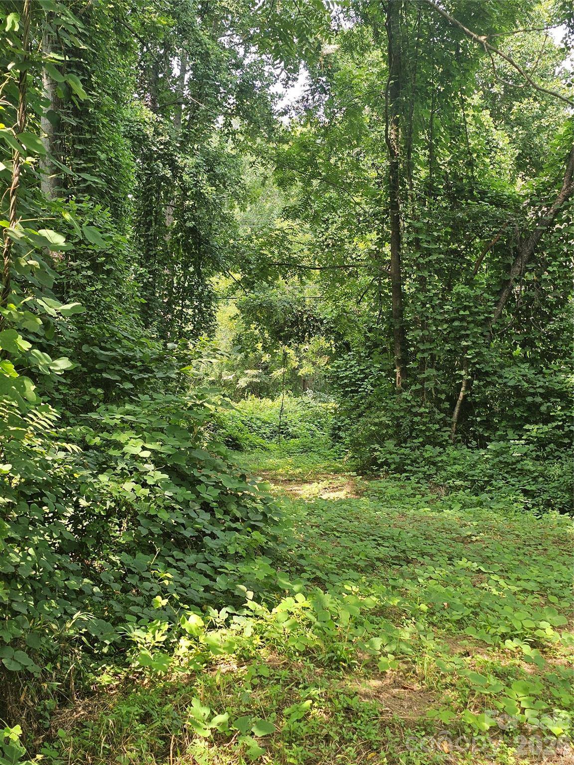 0 US 70 HWY, Connelly Springs, NC 28612