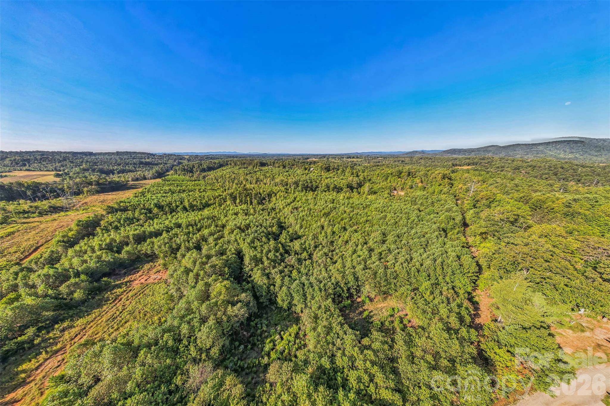 307 RC RD, Traphill, NC 28685