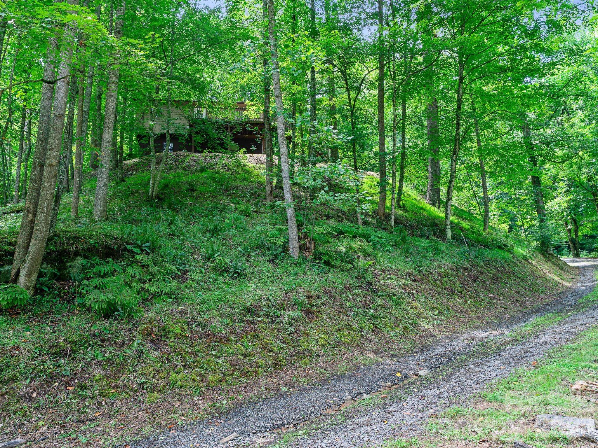 9851 Double Island RD, Green Mountain, NC 28740