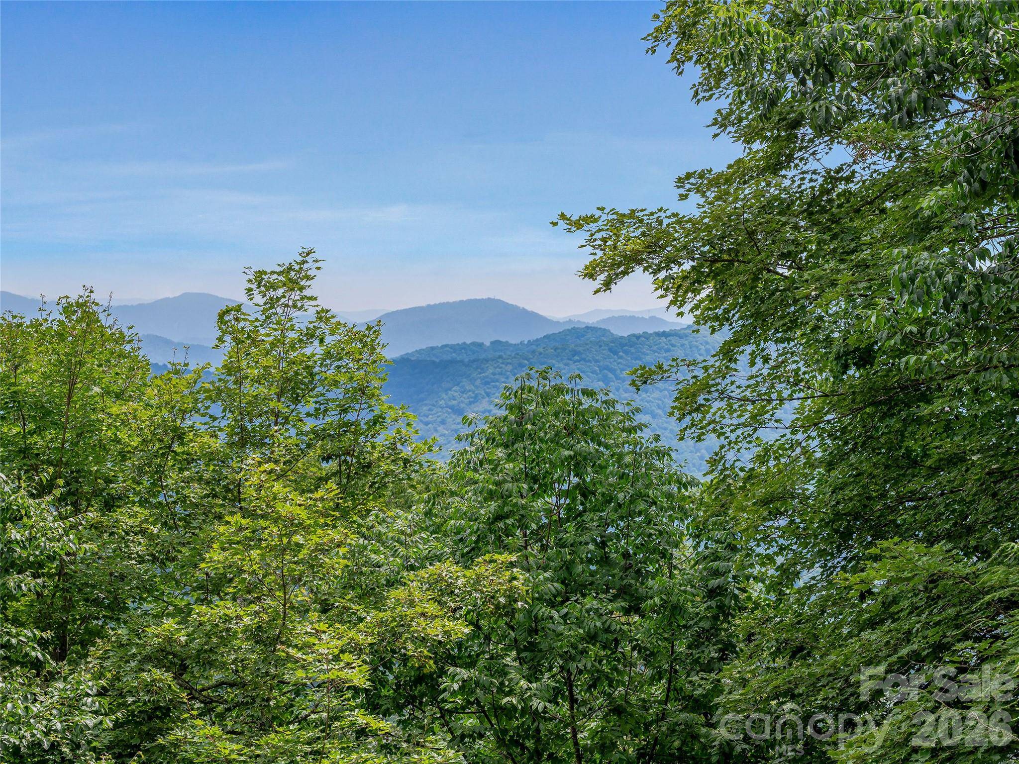 267 Trillium LN, Burnsville, NC 28714