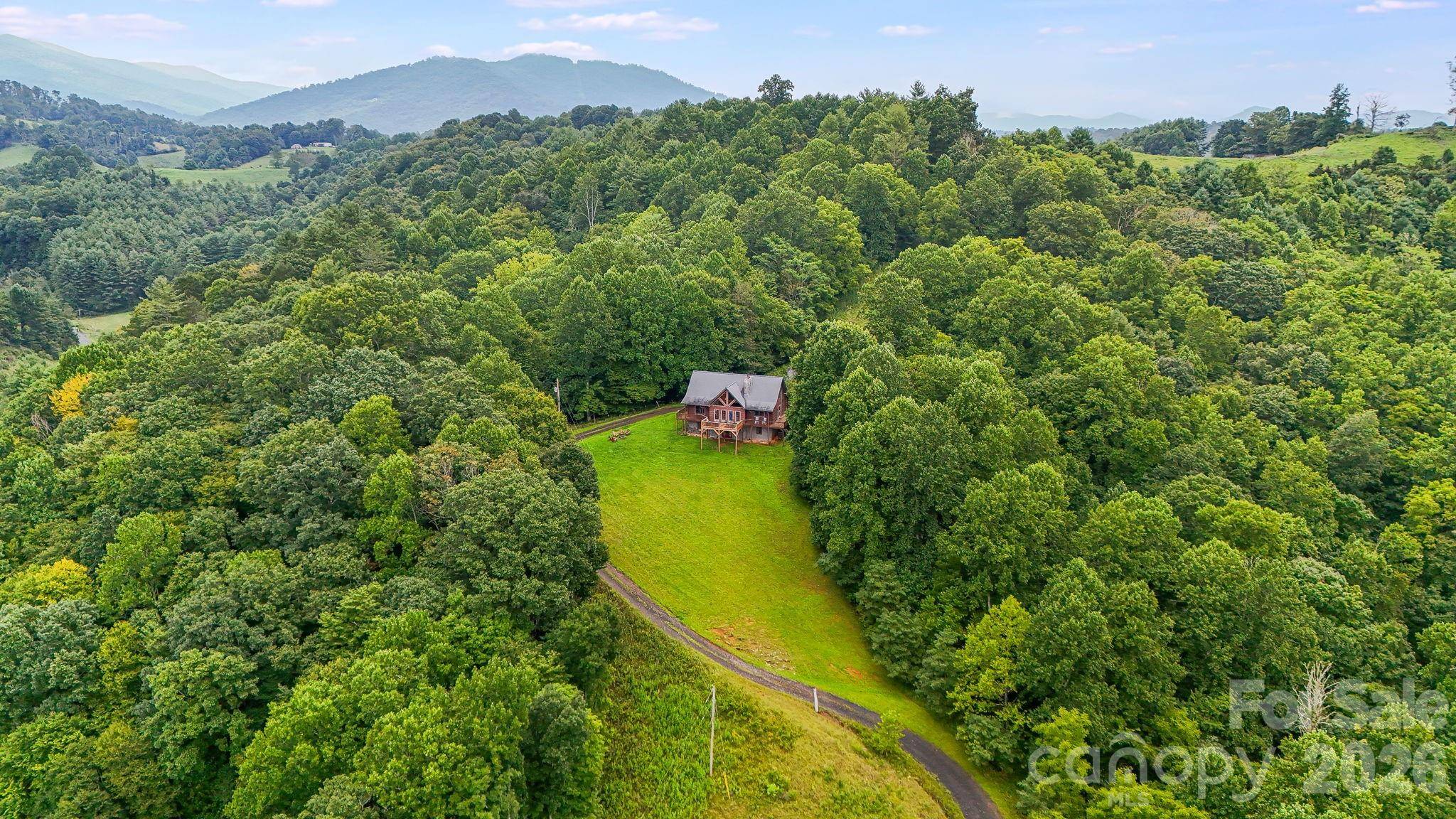 515 Raccoon Branch RD, Green Mountain, NC 28740