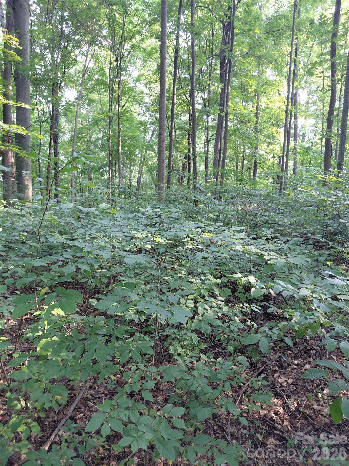 000 Stratton Farm RD, Huntersville, NC 28078