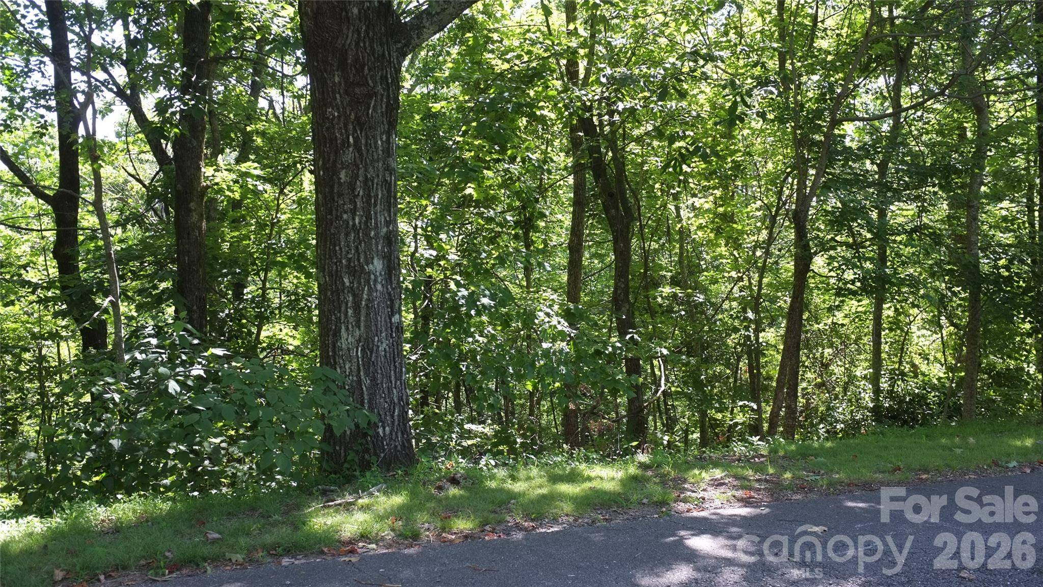 11 & 21 Sunset Ridge DR #21 & 11, Columbus, NC 28722