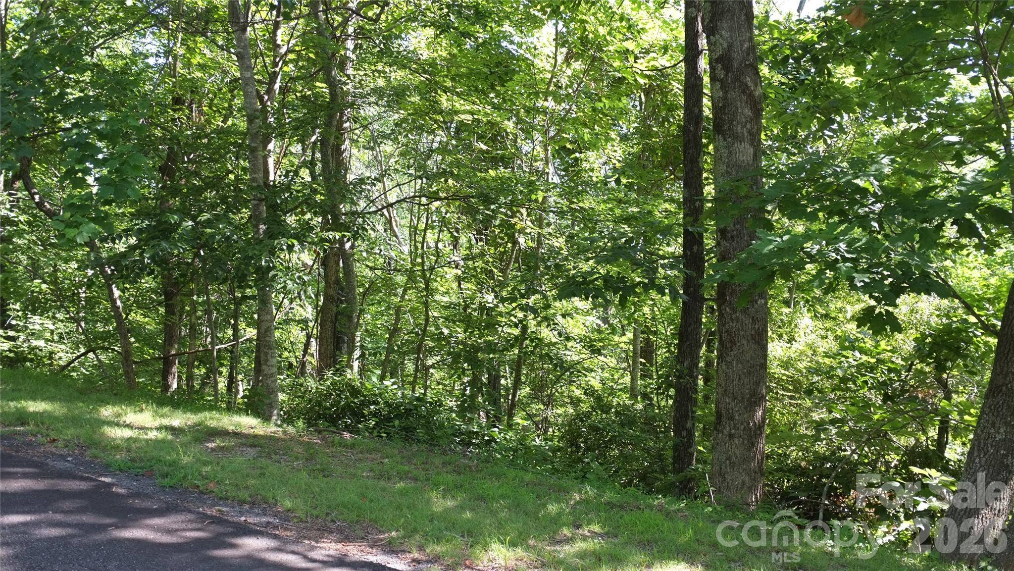 11 & 21 Sunset Ridge DR #21 & 11, Columbus, NC 28722