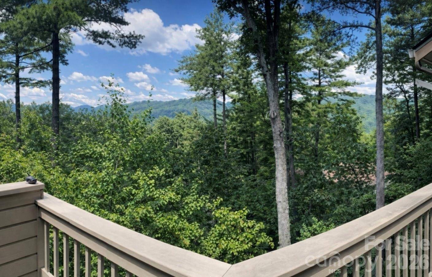 2902-A Timber TRL, Asheville, NC 28804