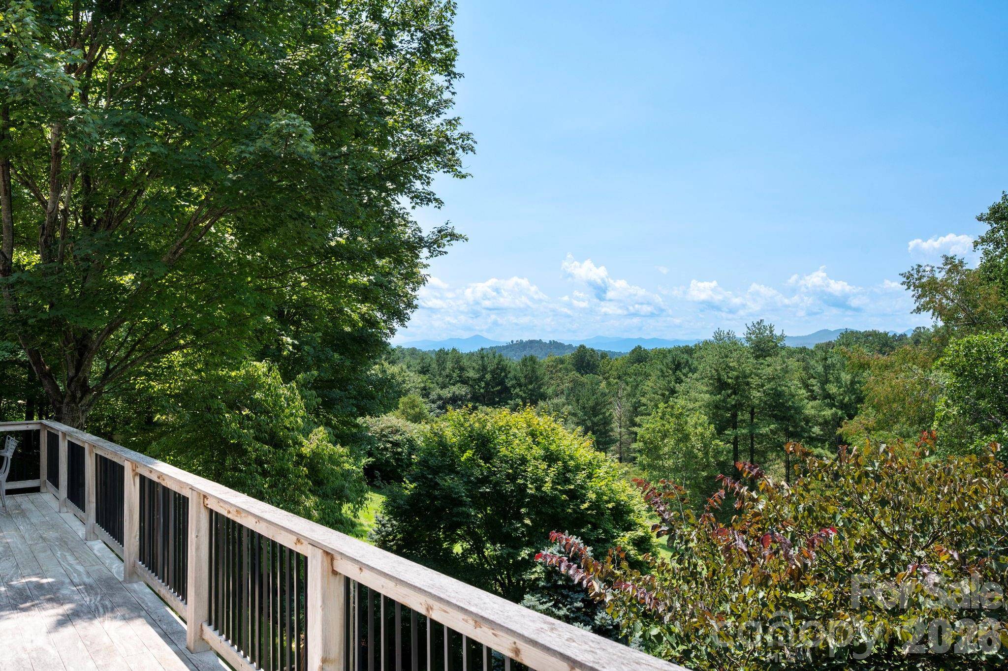 10 Blackberry LN, Asheville, NC 28804