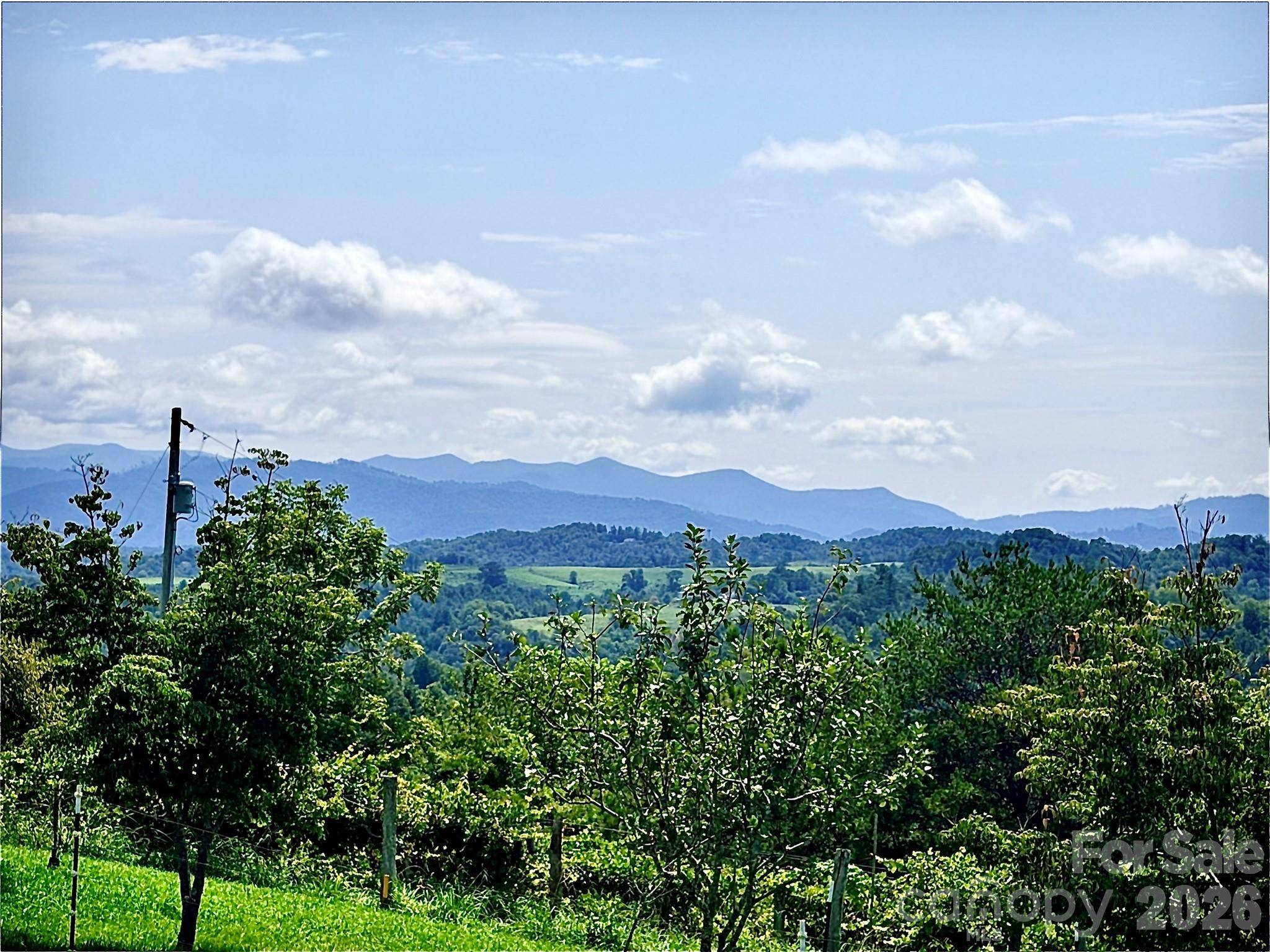 194 Cabin Hollow DR, Marshall, NC 28753