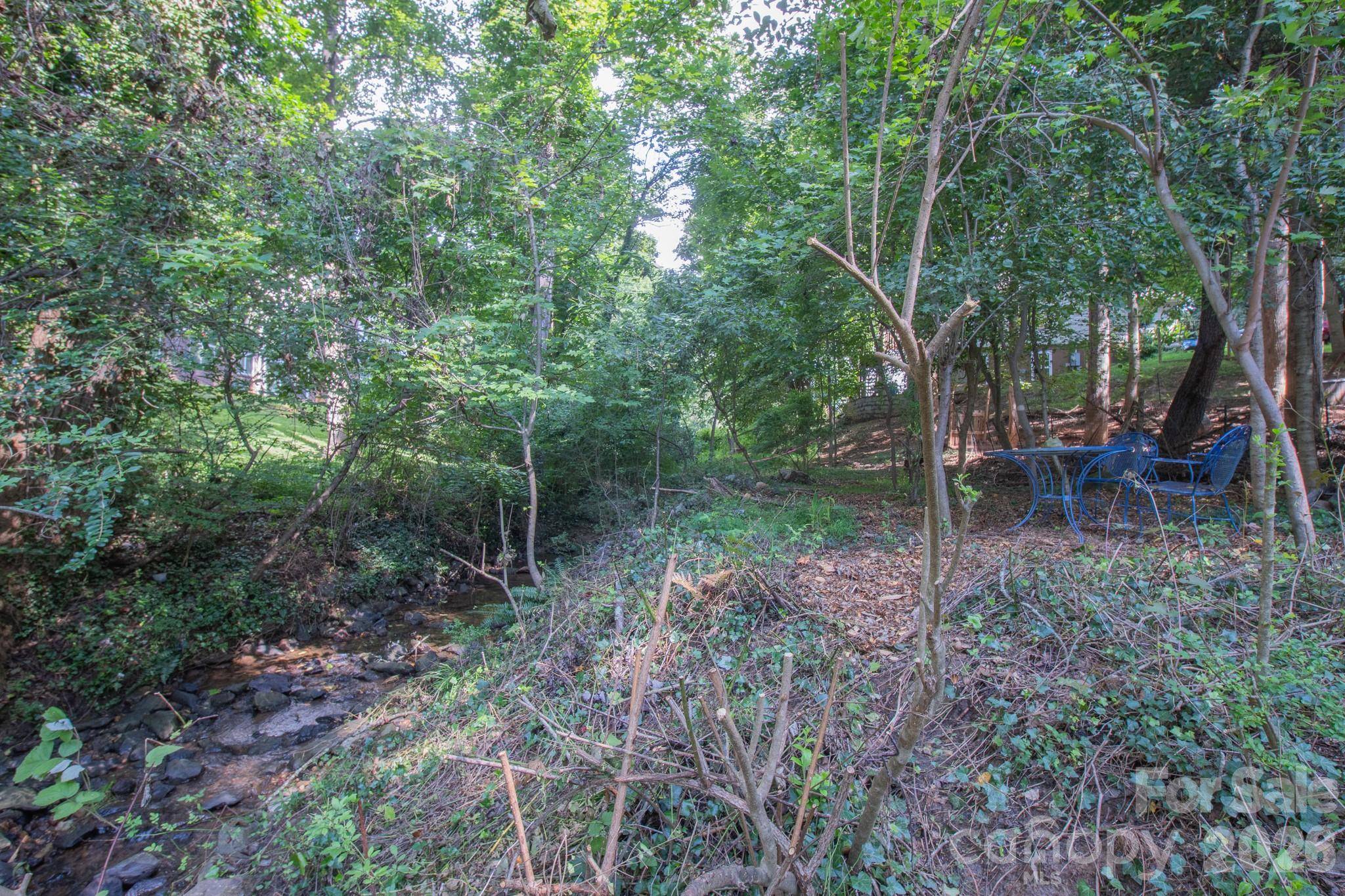 99999 Rumbough PL, Asheville, NC 28806