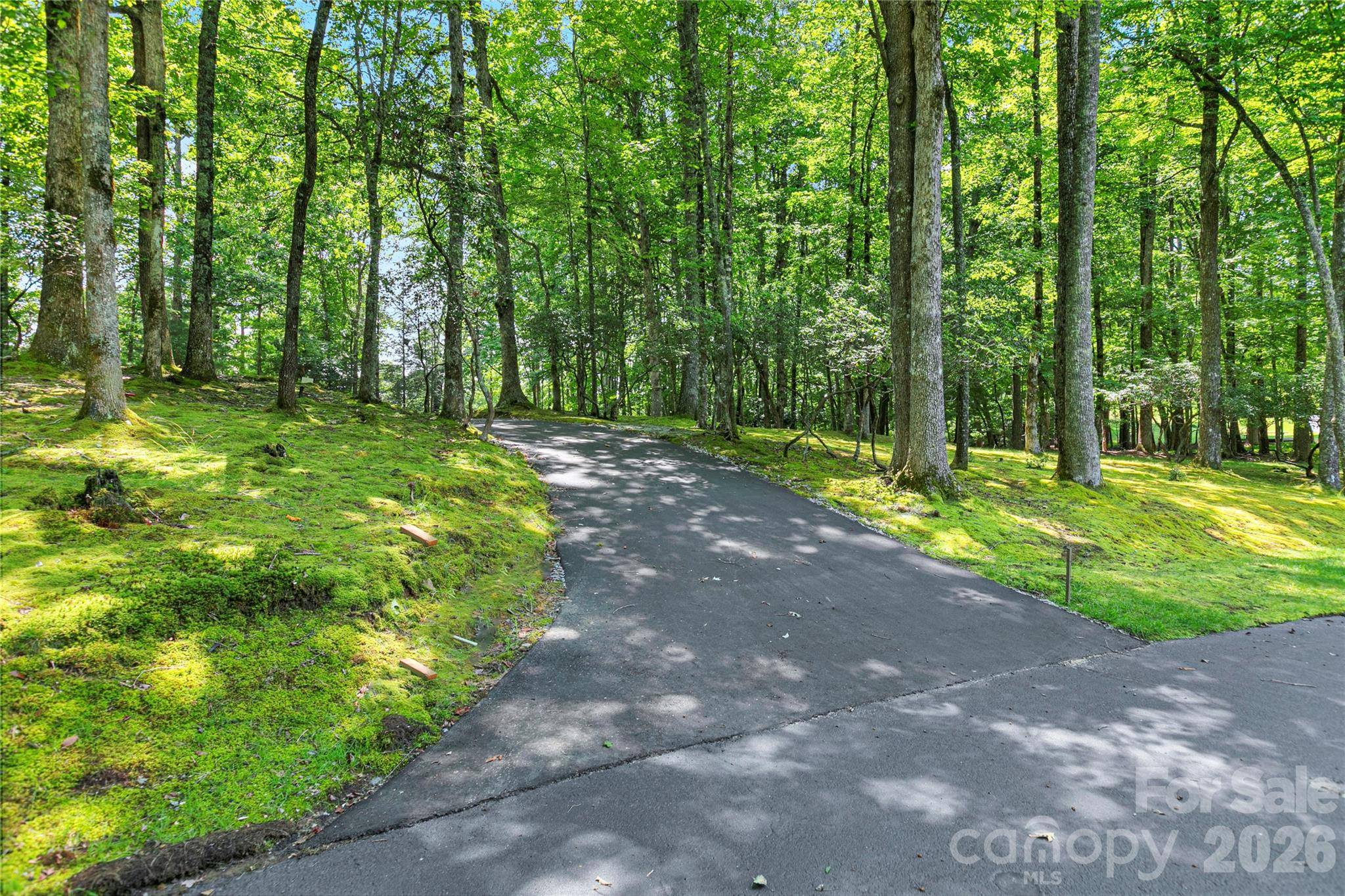 4 Nvya CT, Brevard, NC 28712